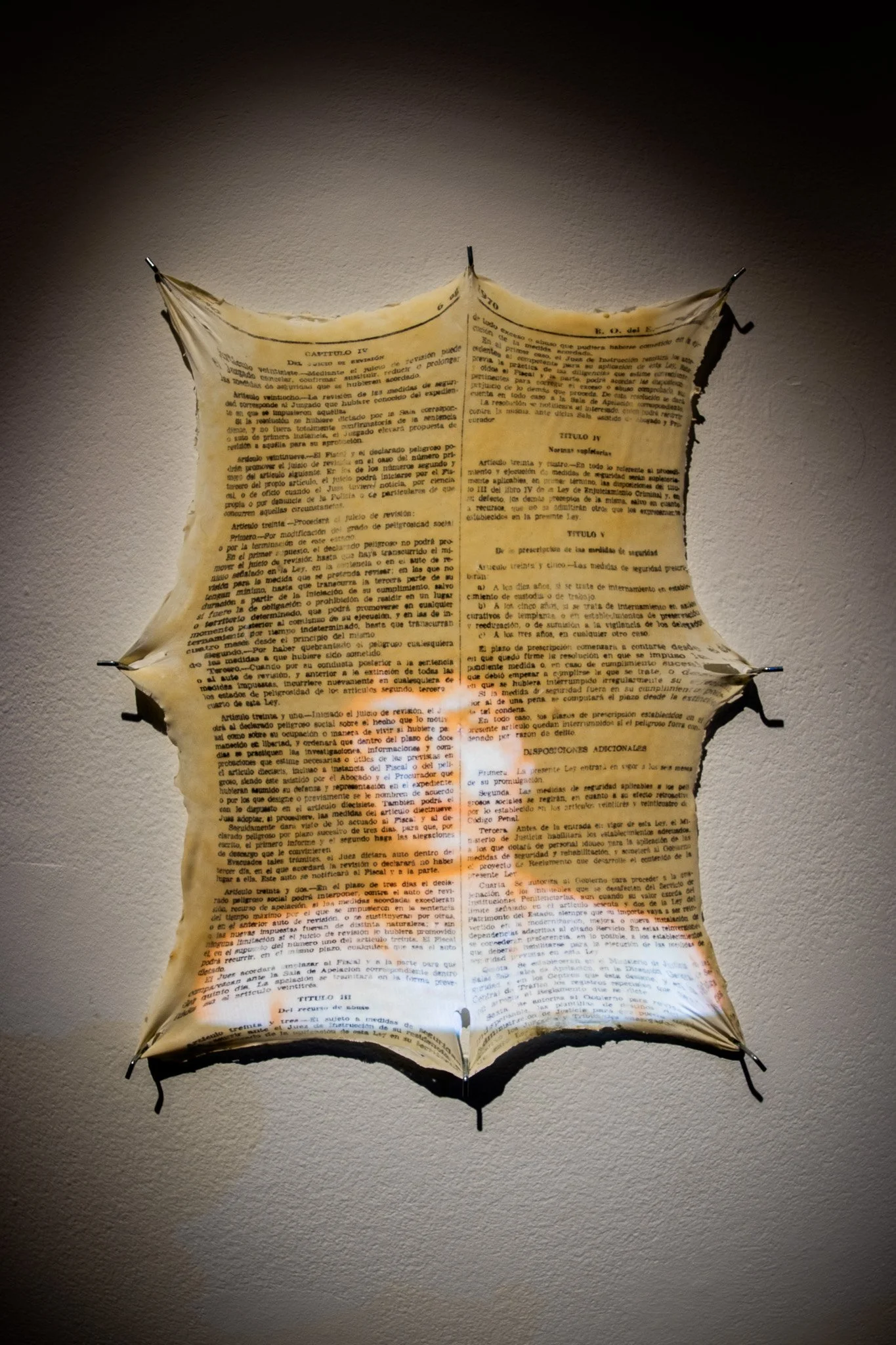 MAGNUS 'Corporeal Consumption' 2025