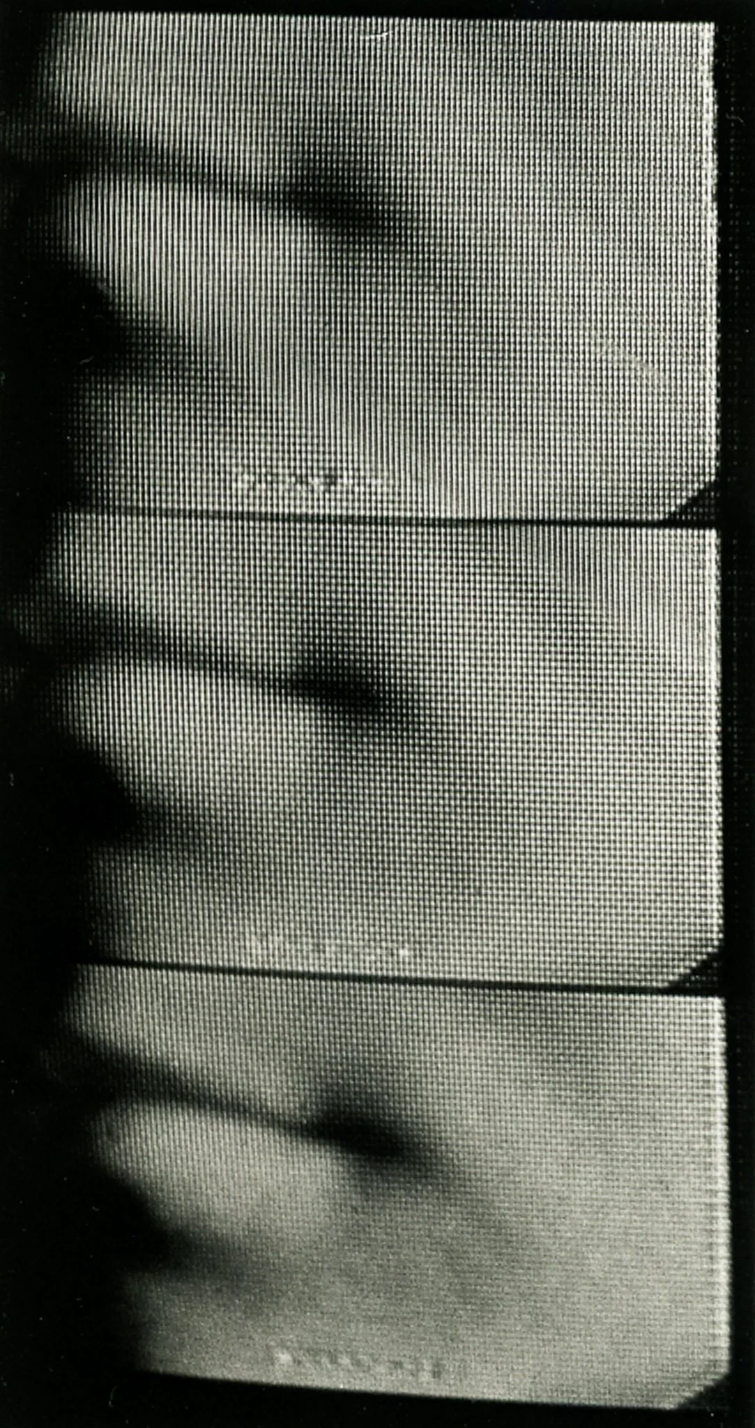 4x5 scans21.jpg