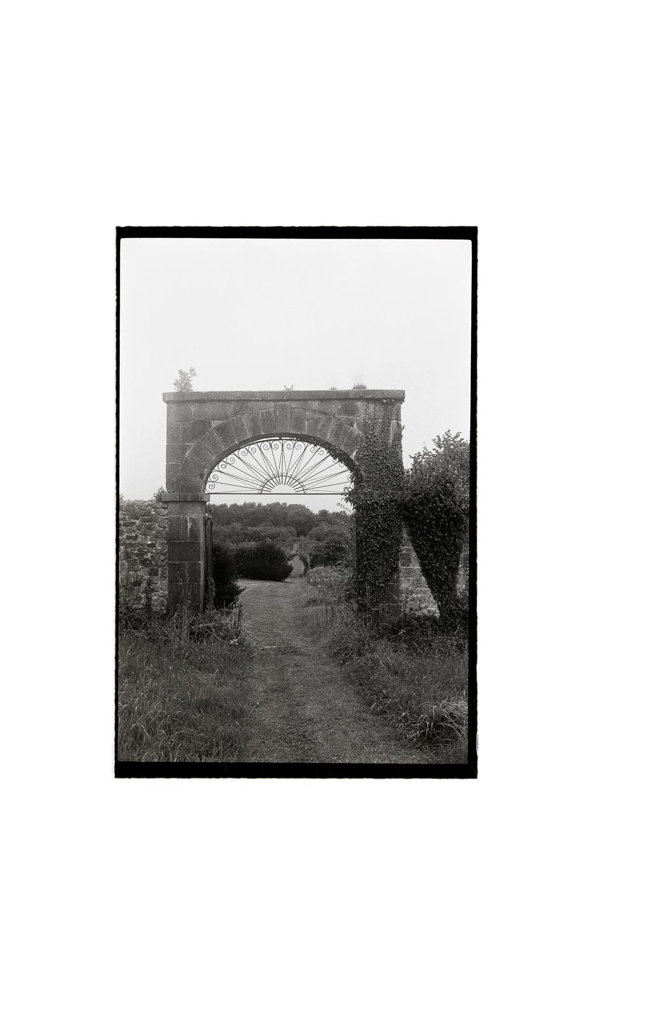 Ireland-56.jpg