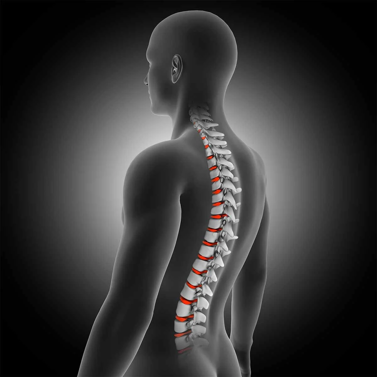 La importancia de la salud de la columna vertebral