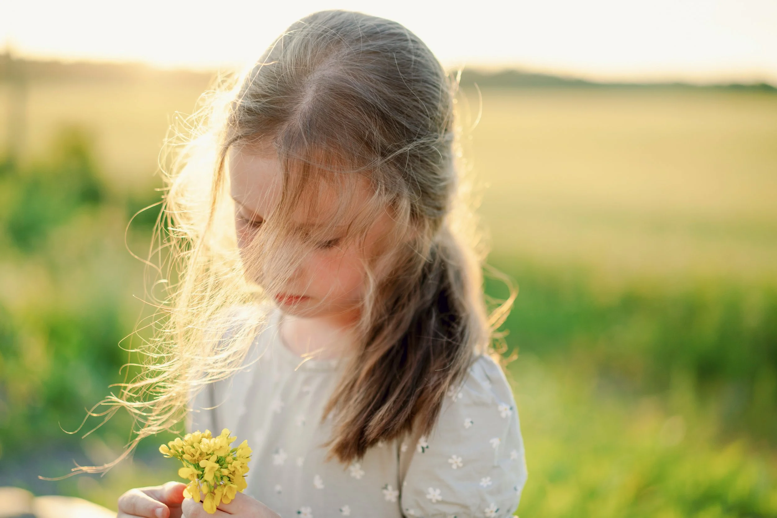 Seasonal Allergies Suck - Help is on the Way!