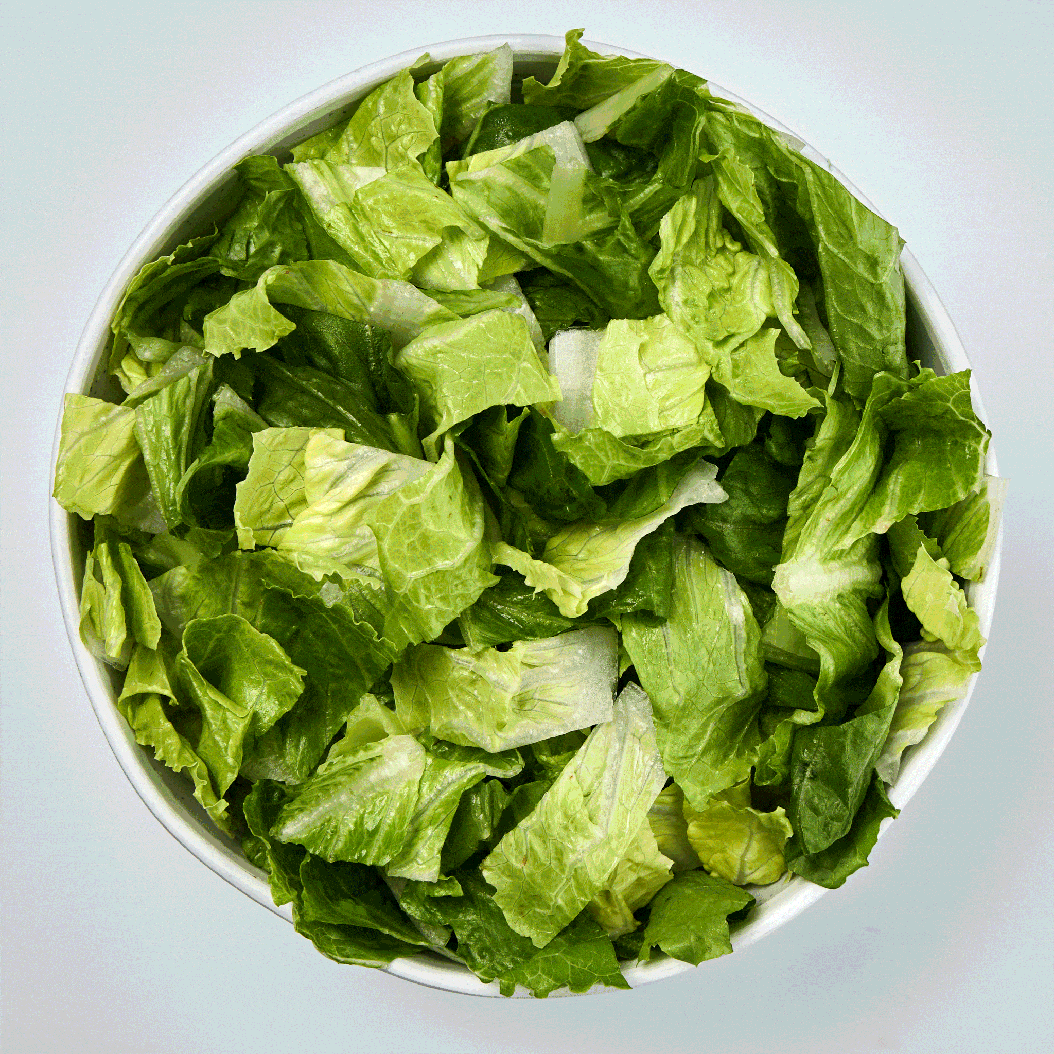 Salad_Animation_001 copy.gif