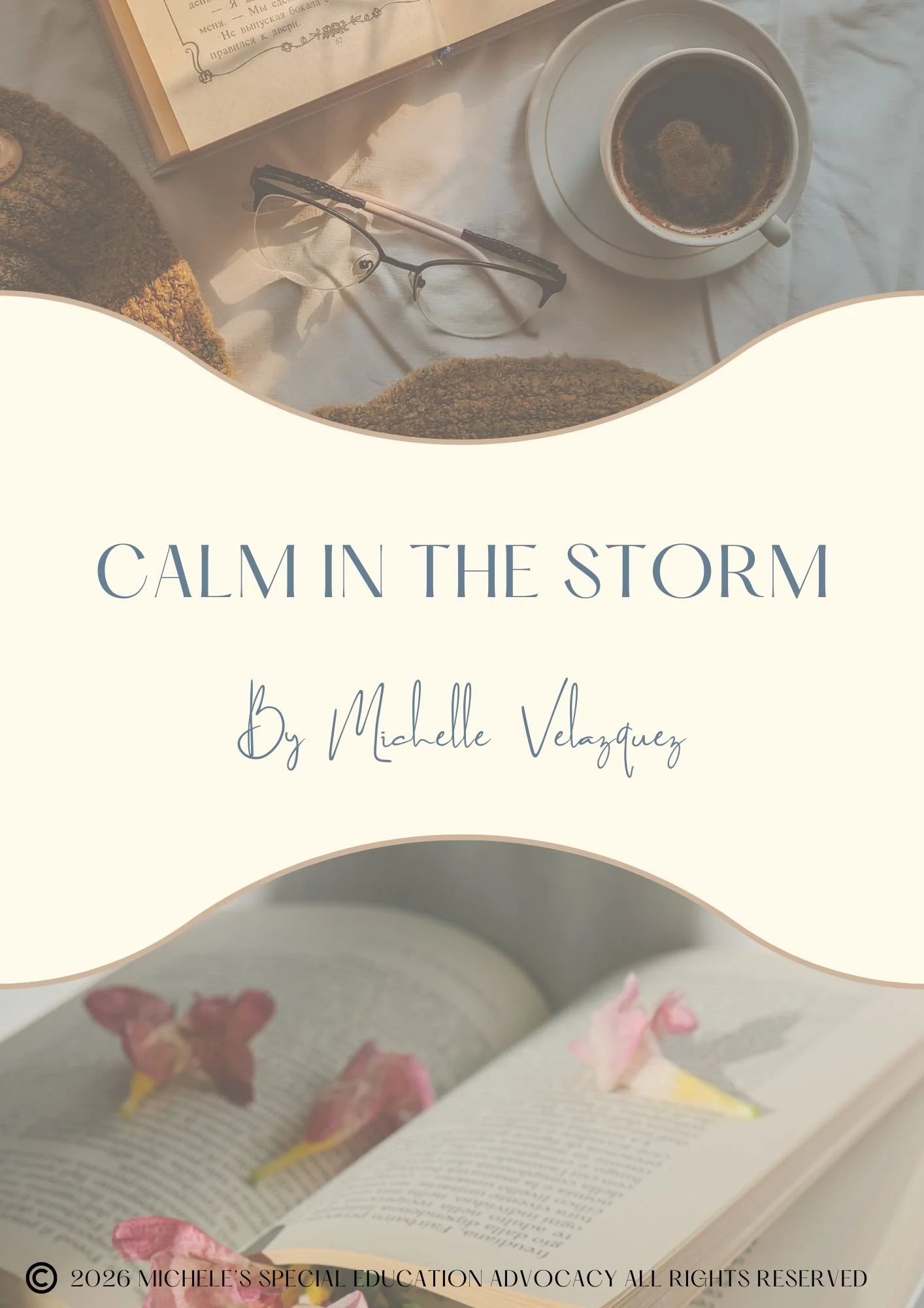 Calm In The Storm Framework photo.jpg