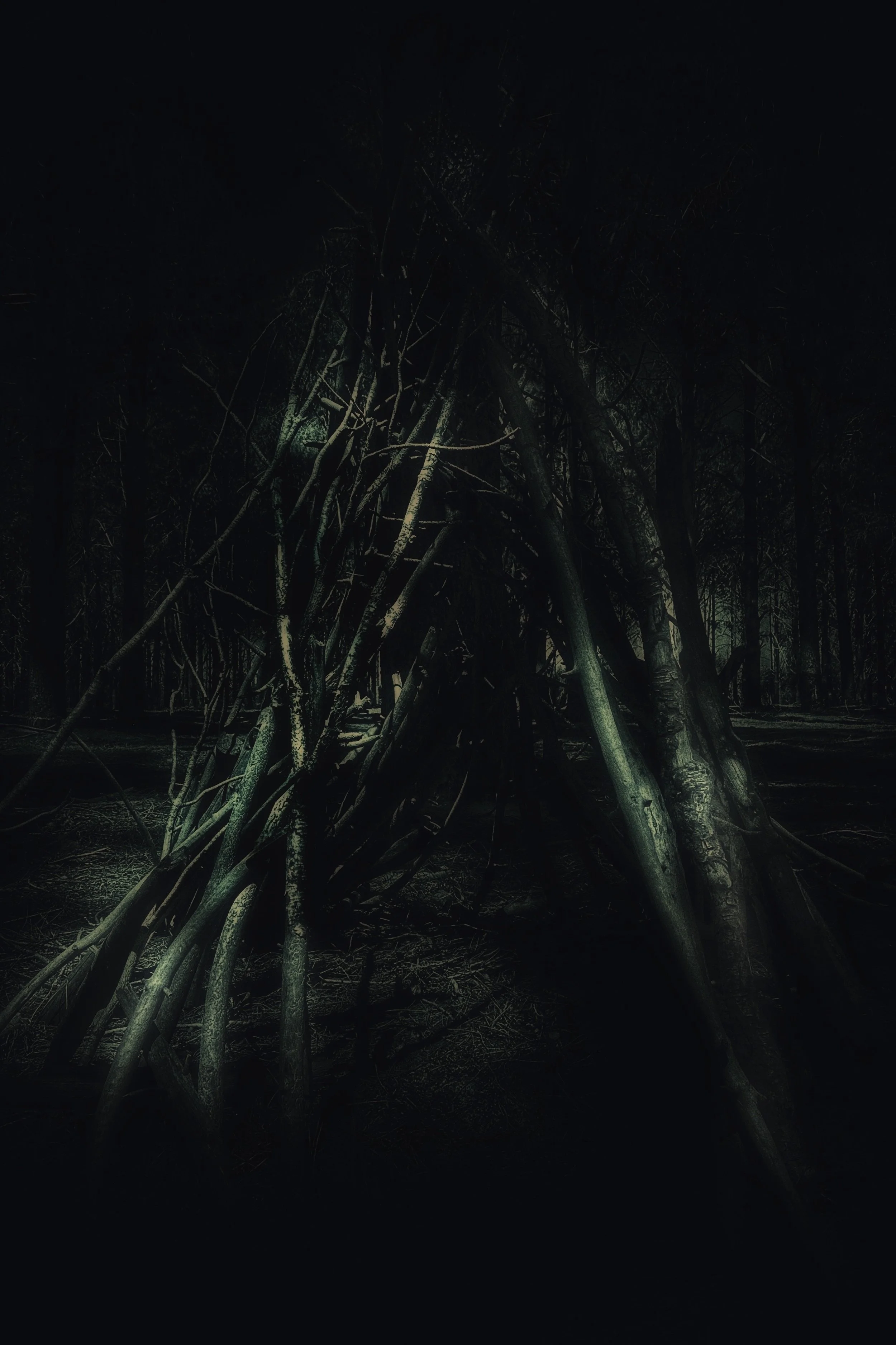 Bronwyn Aitken - By the Pricking of My Thumbs - 2024 - Bronwyn Aitken.jpeg