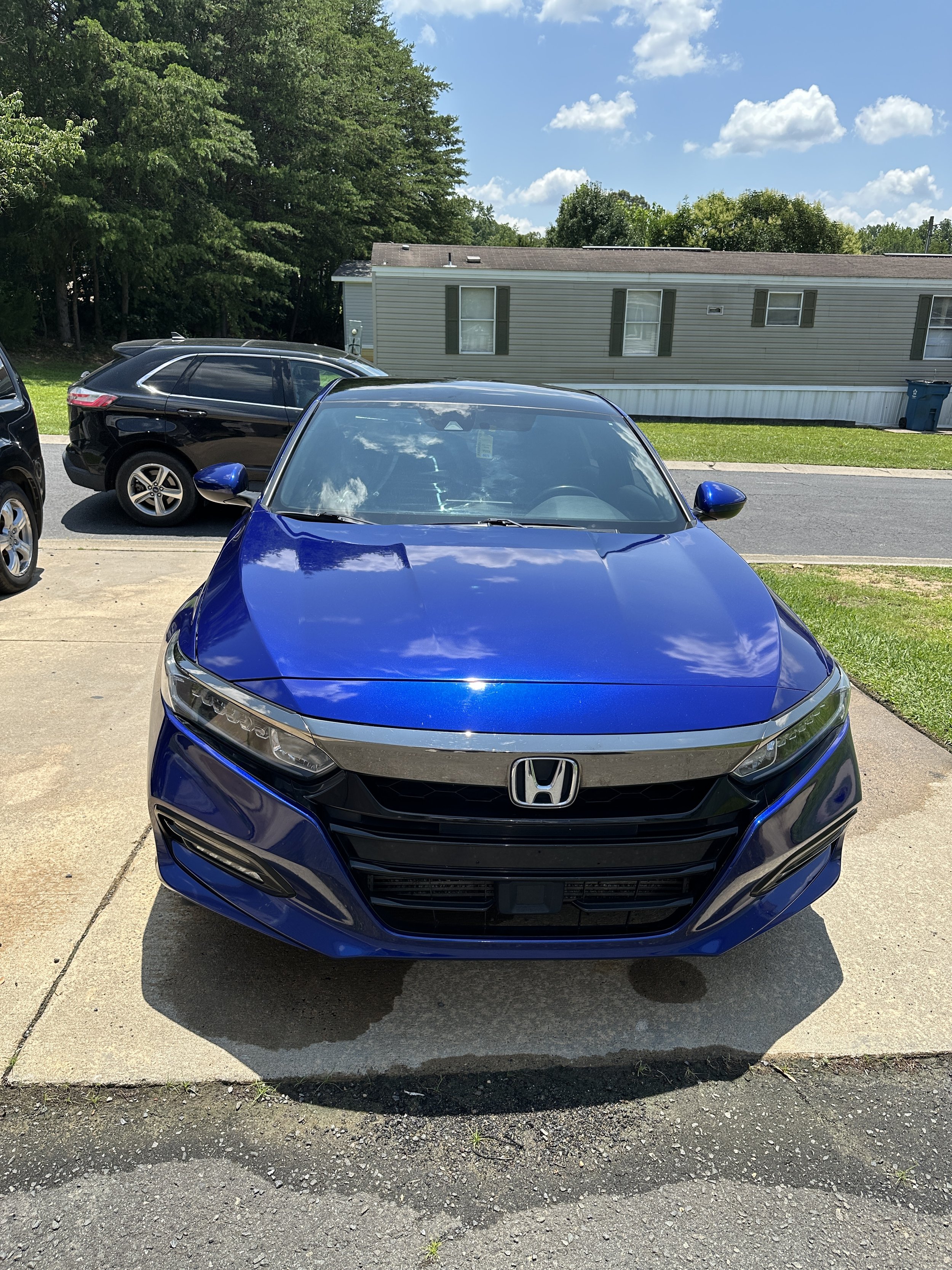 Honda Accord bug removal, Black trim restoration, topped with sealant