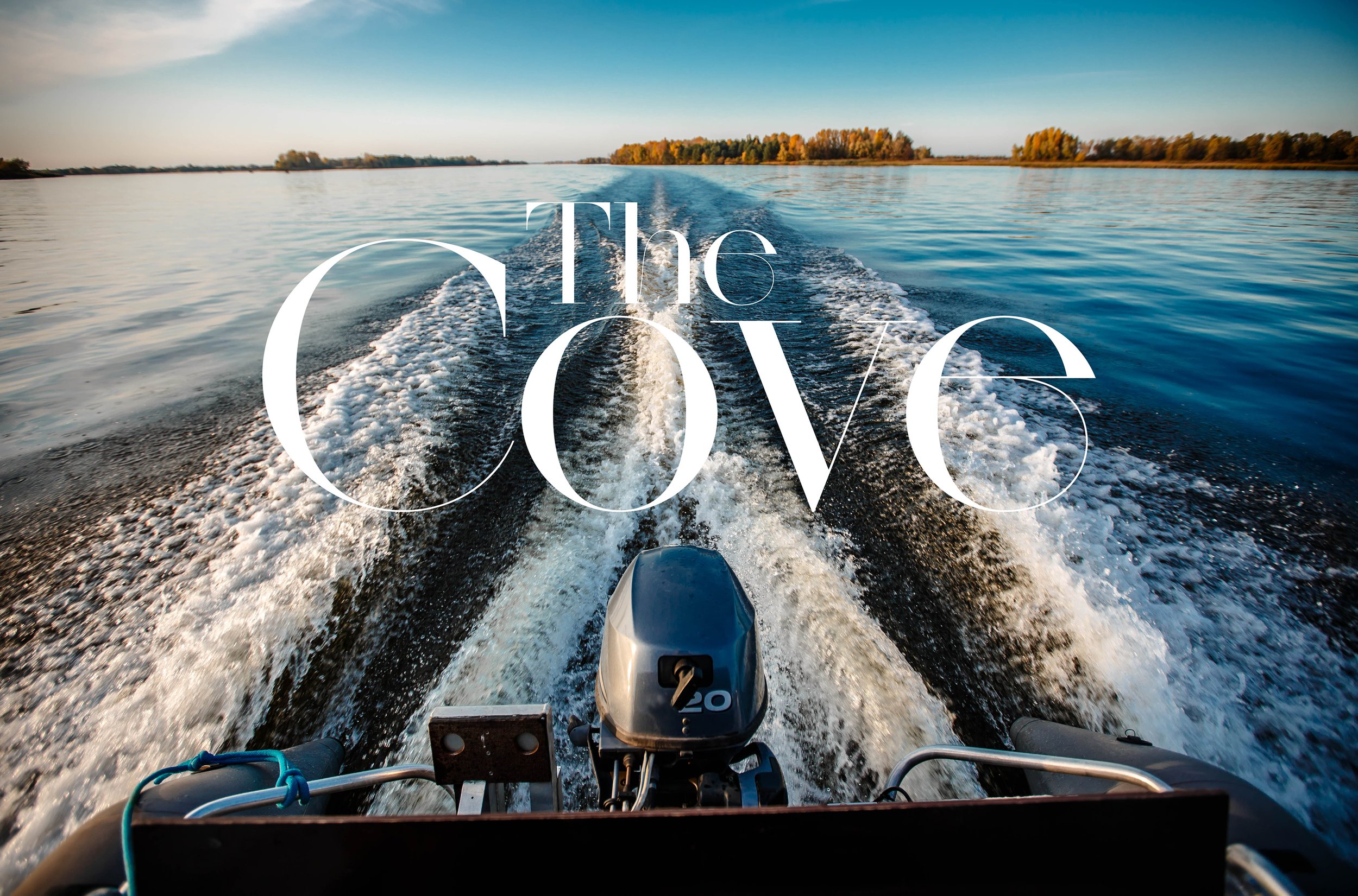 The Cove