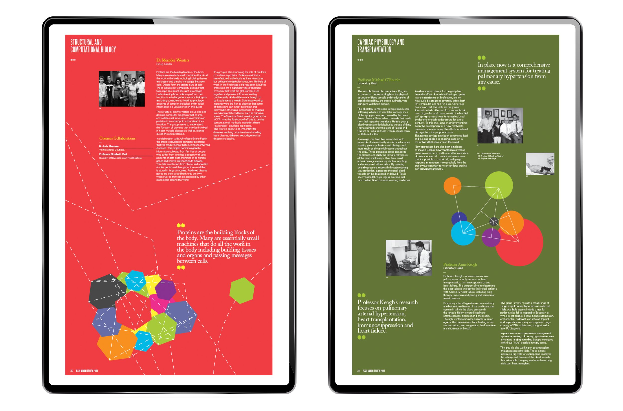 Annual Report for Victor Chang