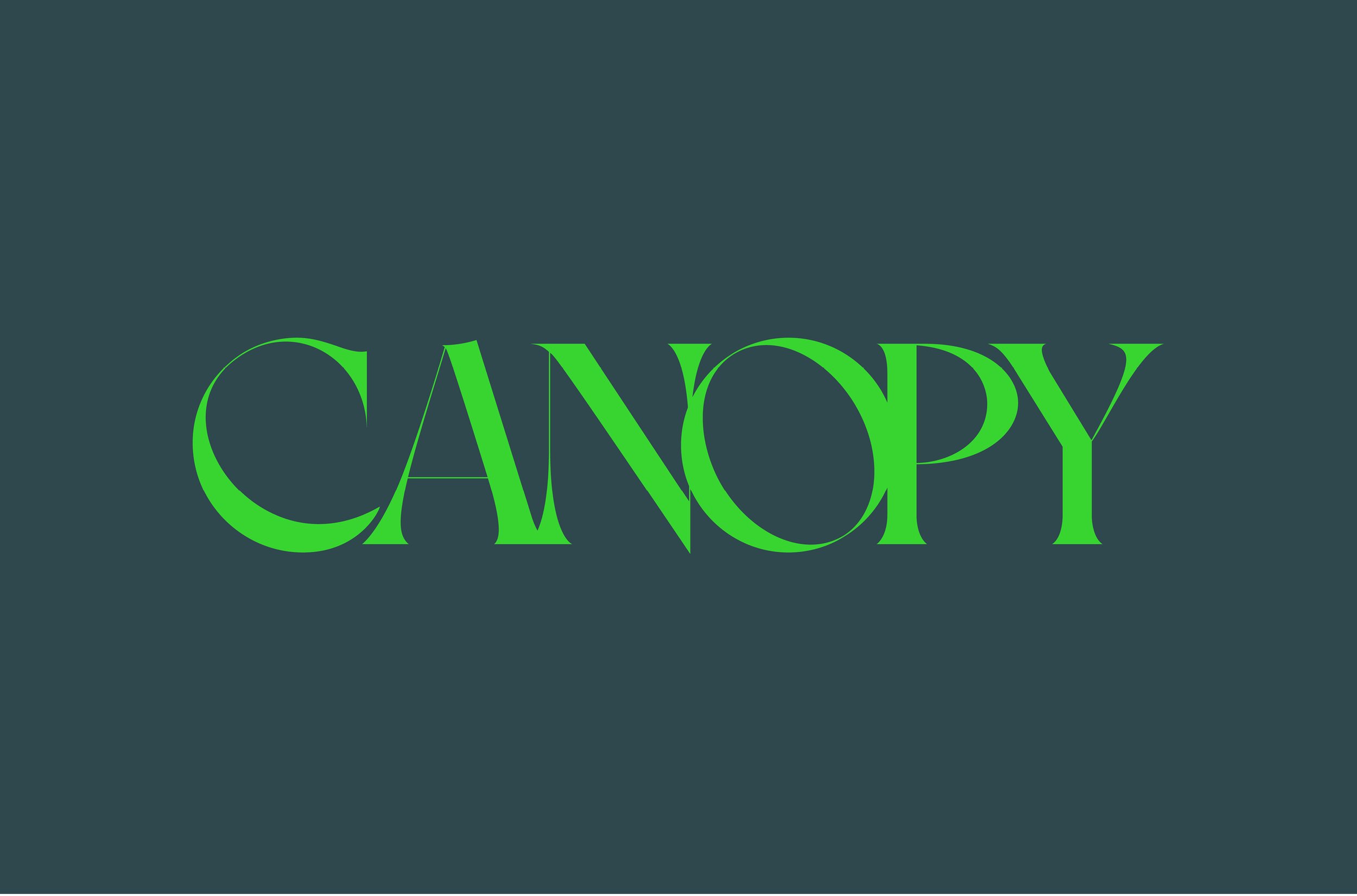 Canopy for Frasers Property x Mac Park