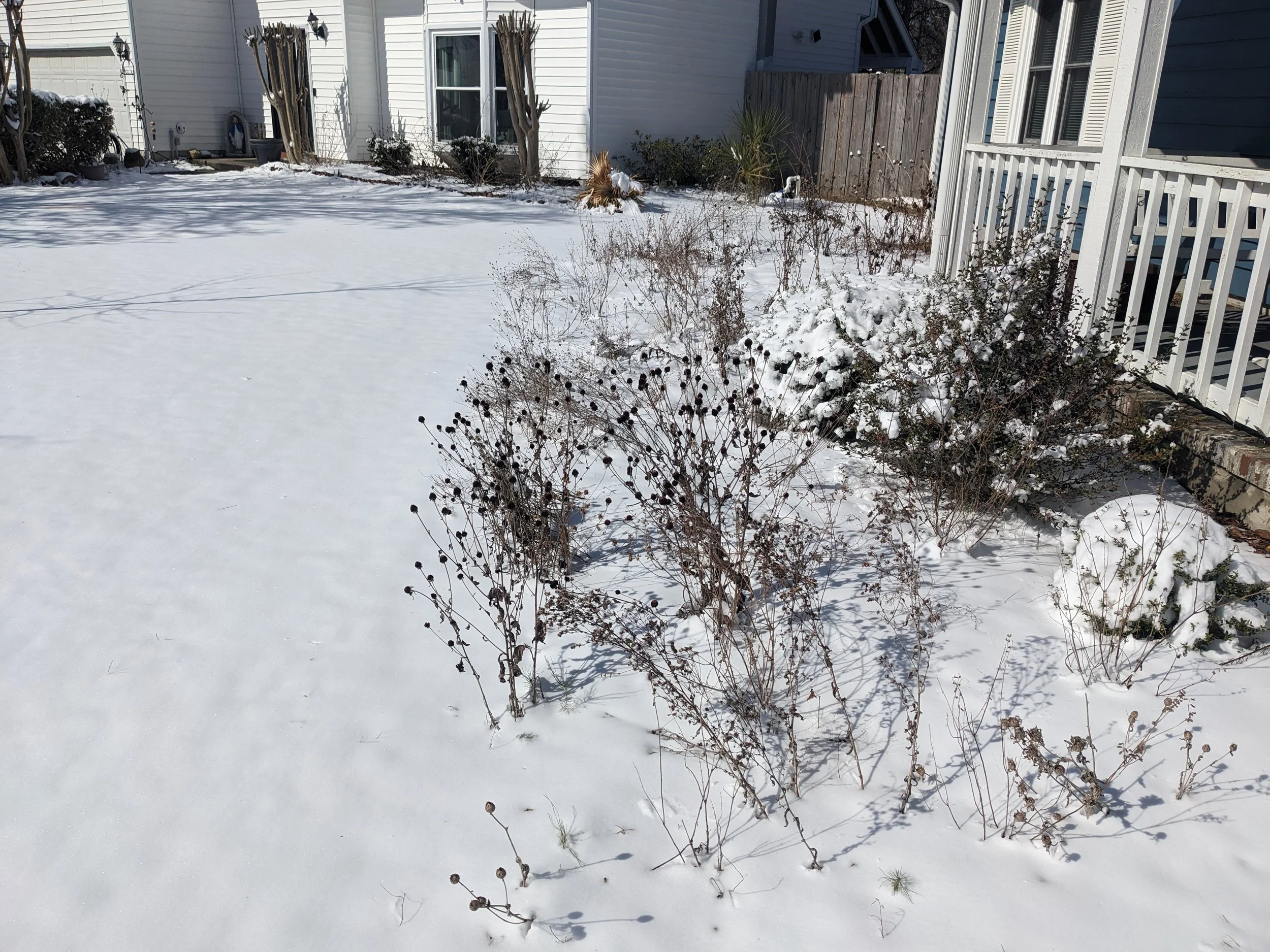 Ecological Gardening: The Spring Tidy Up 