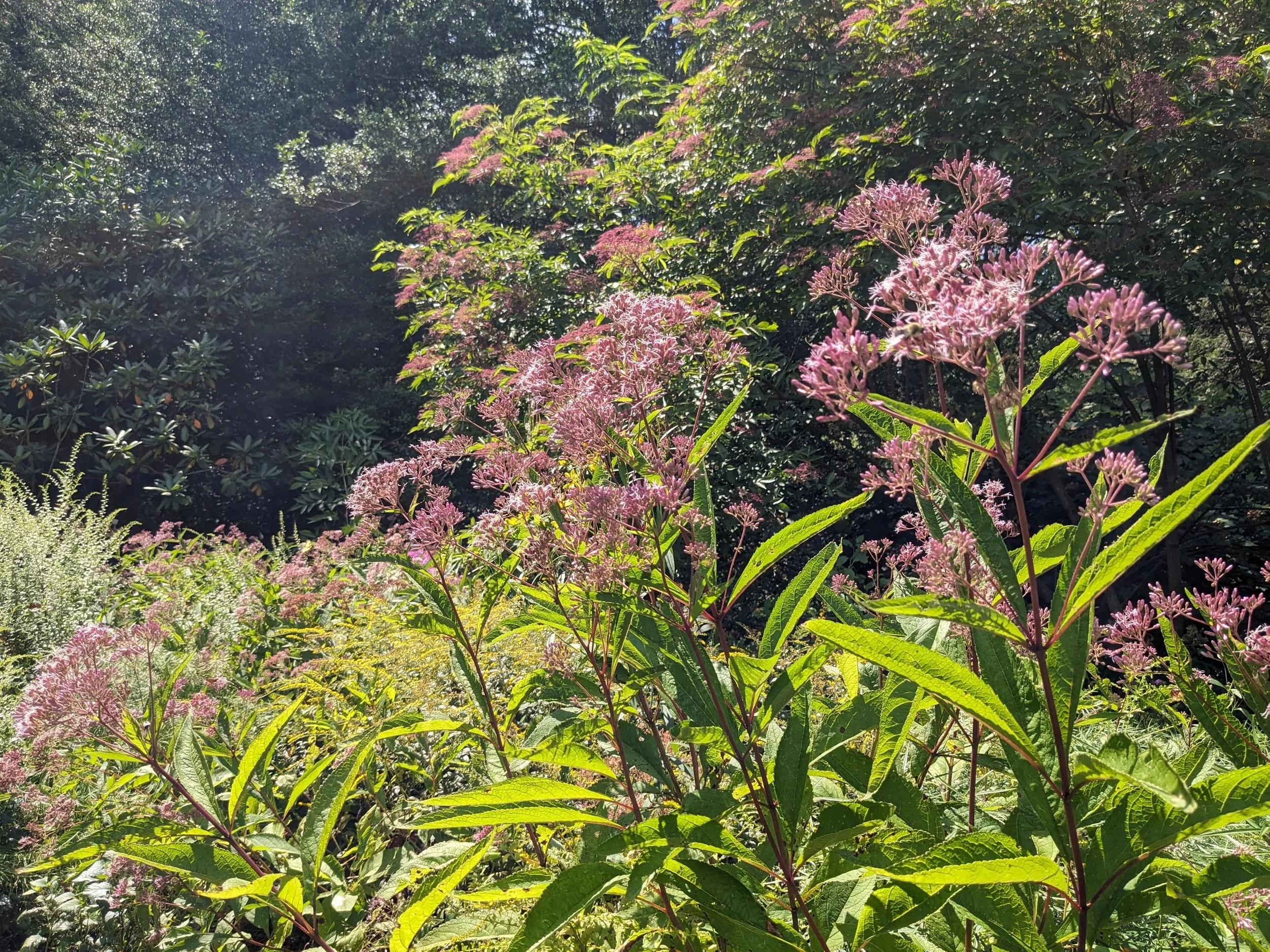 PXL_20250829_175848257 (1).jpg