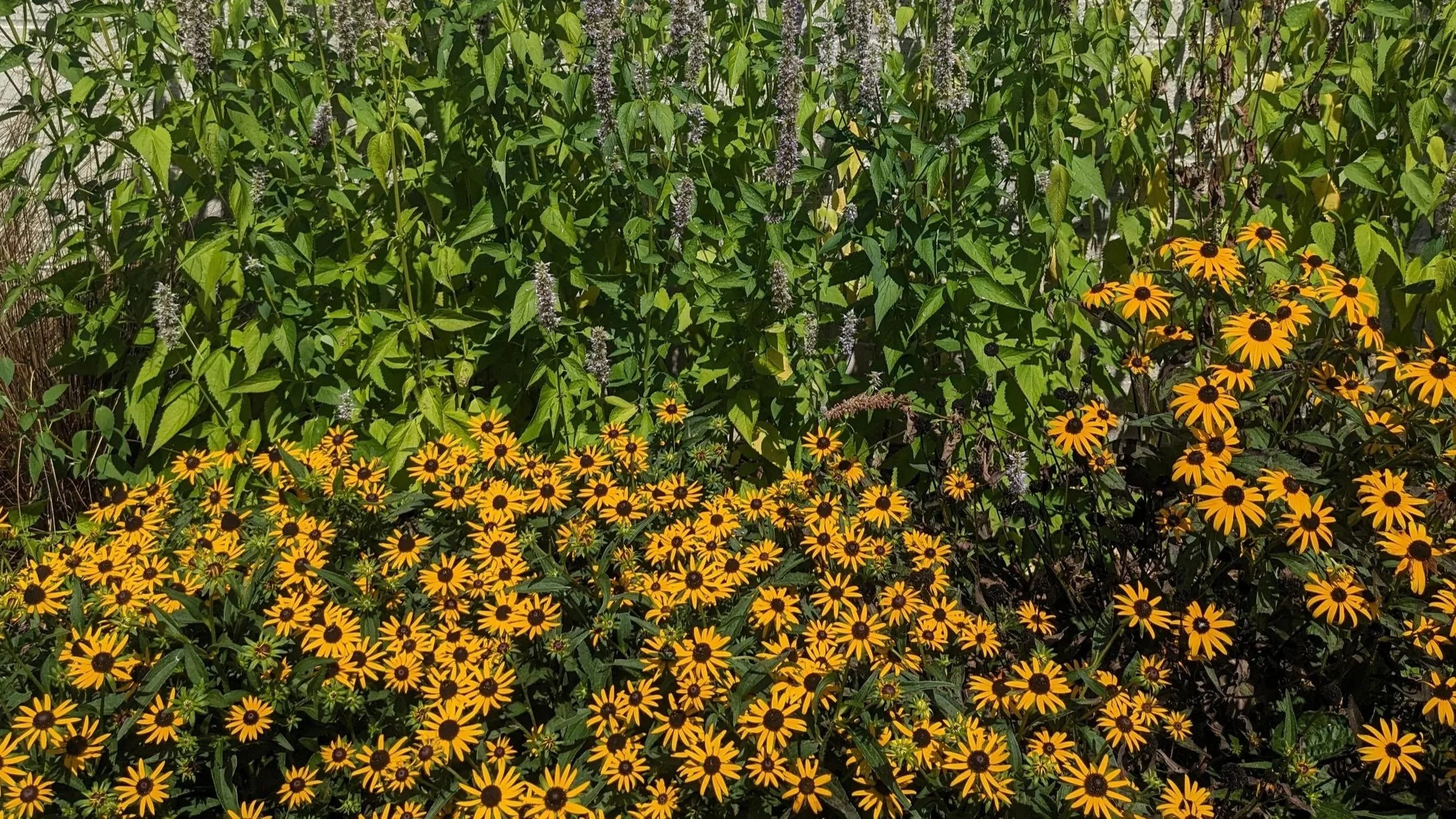 PXL_20250711_150723203+%281%29.jpg