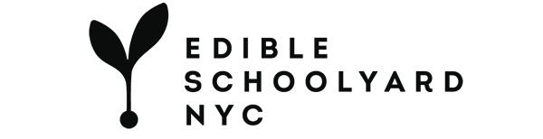 ESYNYC Logo.png