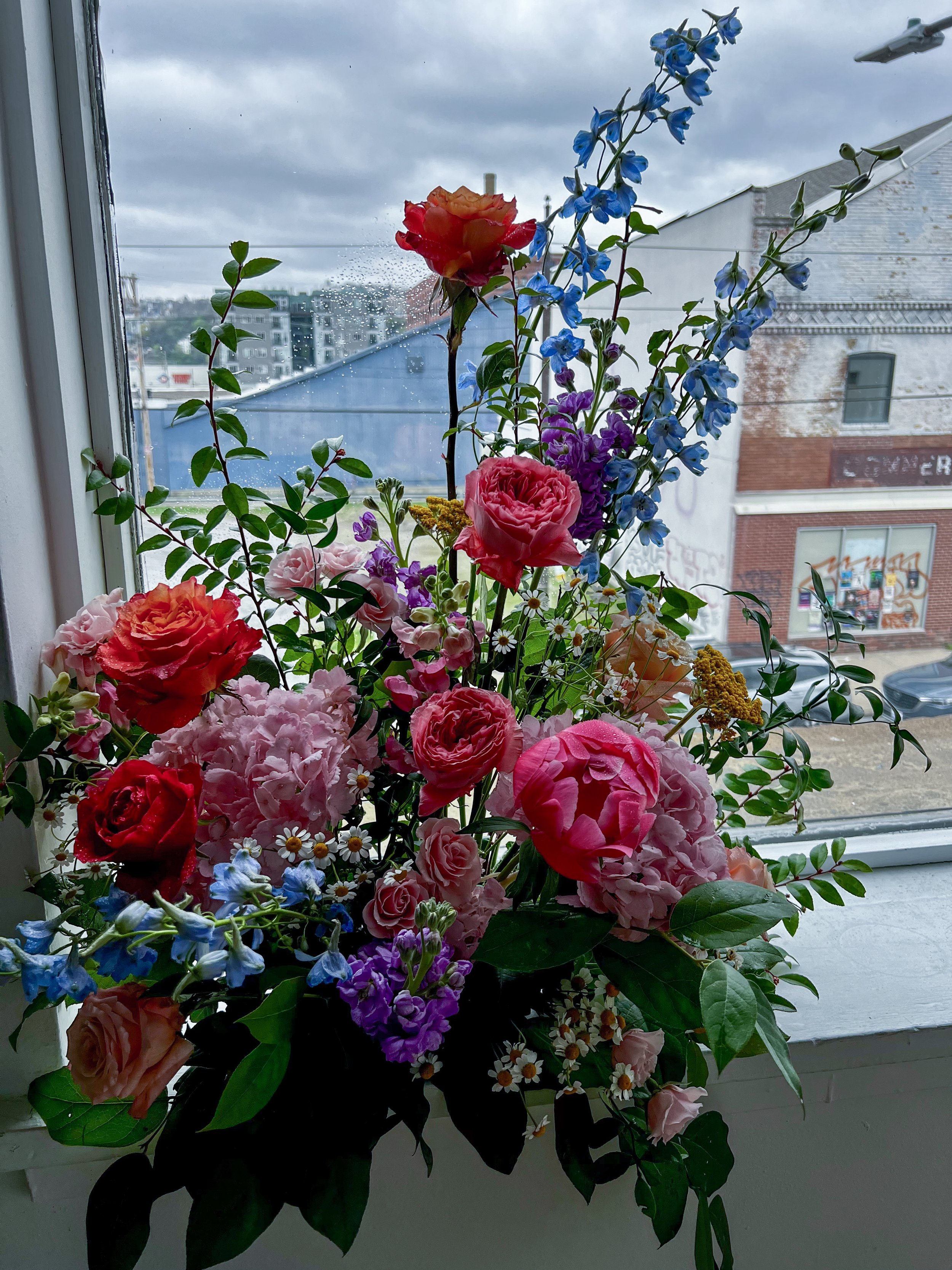 IMG_0443_jpg.jpeg