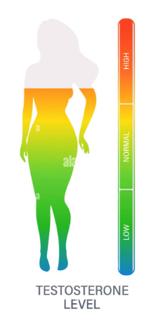 Silhouette of a woman with a body mapping height chart indicating testosterone levels from low (blue/green) at the feet to high (red) at the chest, labeled 'Testosterone Level'.