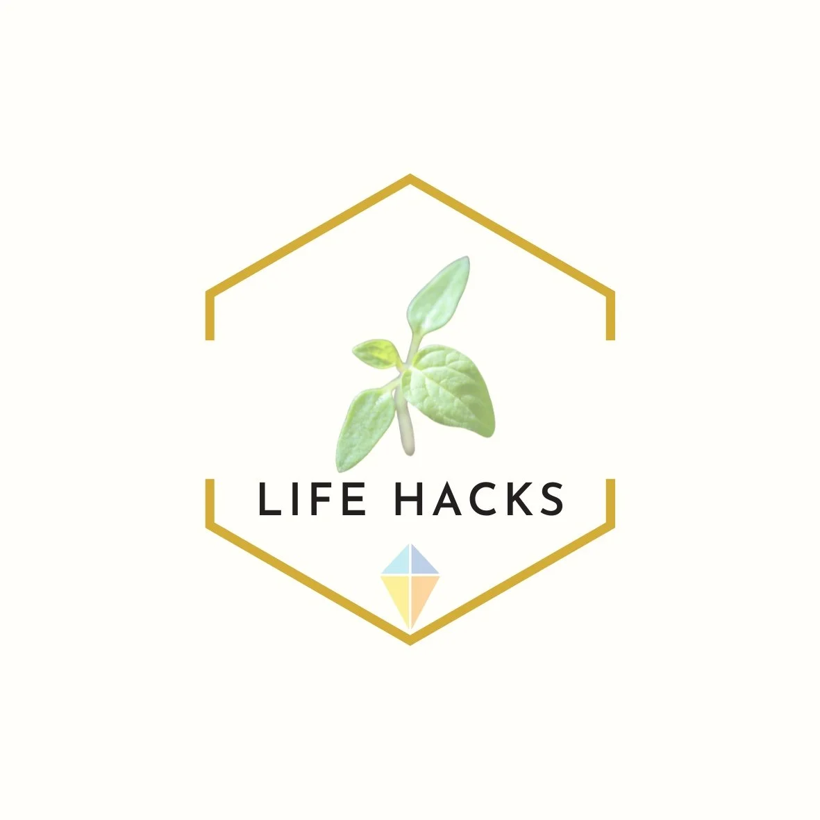 KDC Kite Logo for Health Topics (6).jpg