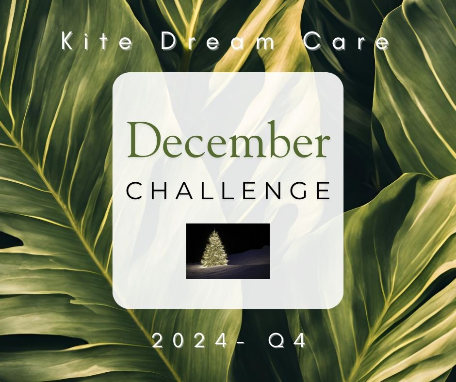 2024 - Q4 - December Challenge 