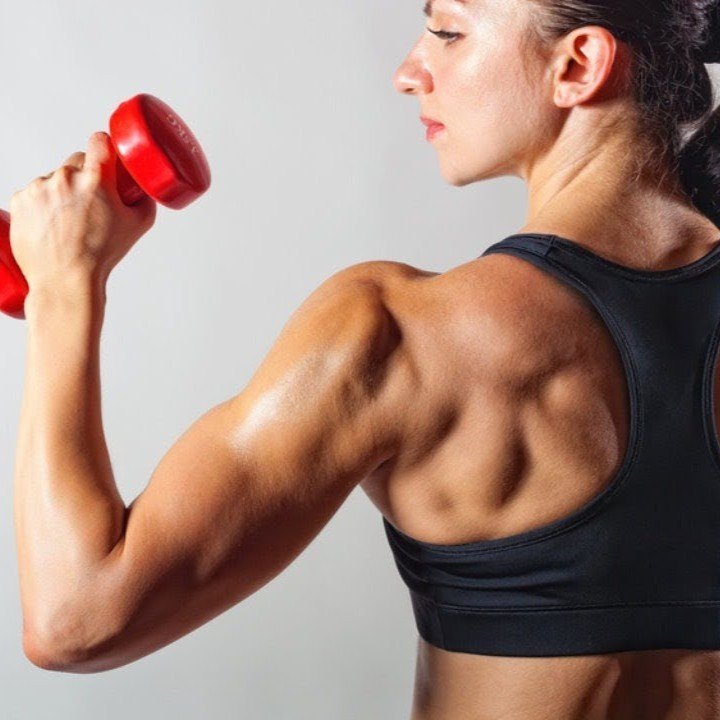 You Need a Professional Trainer