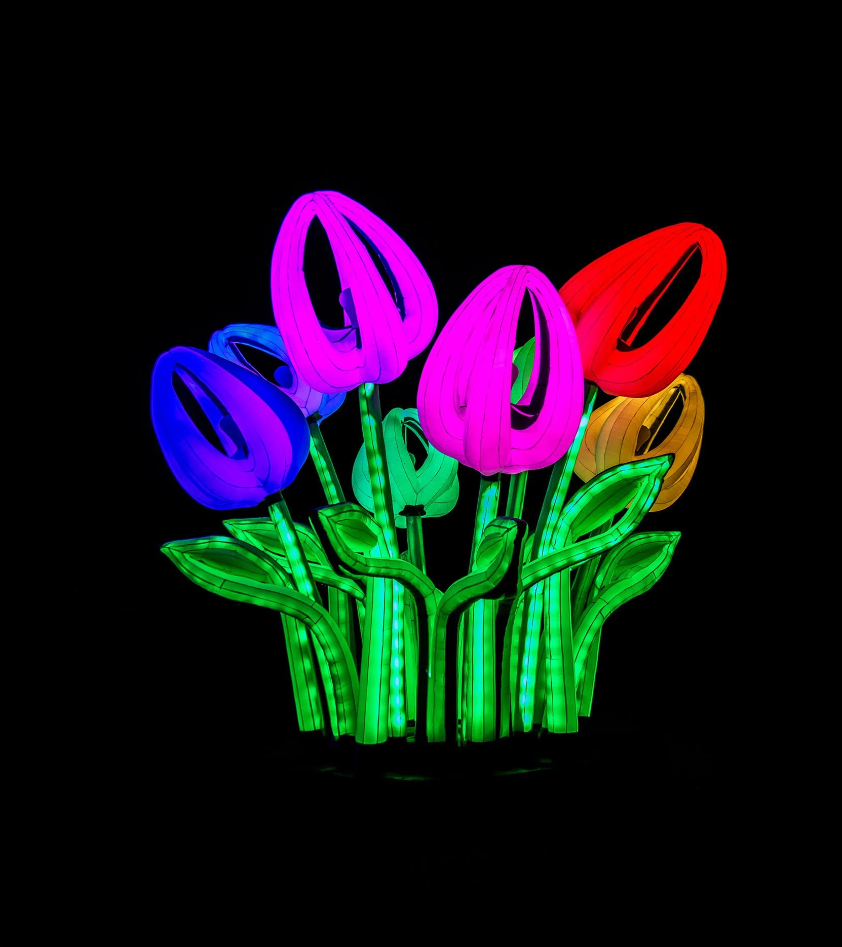 Vivid Night 6 - Botanic Gardens-55.jpeg