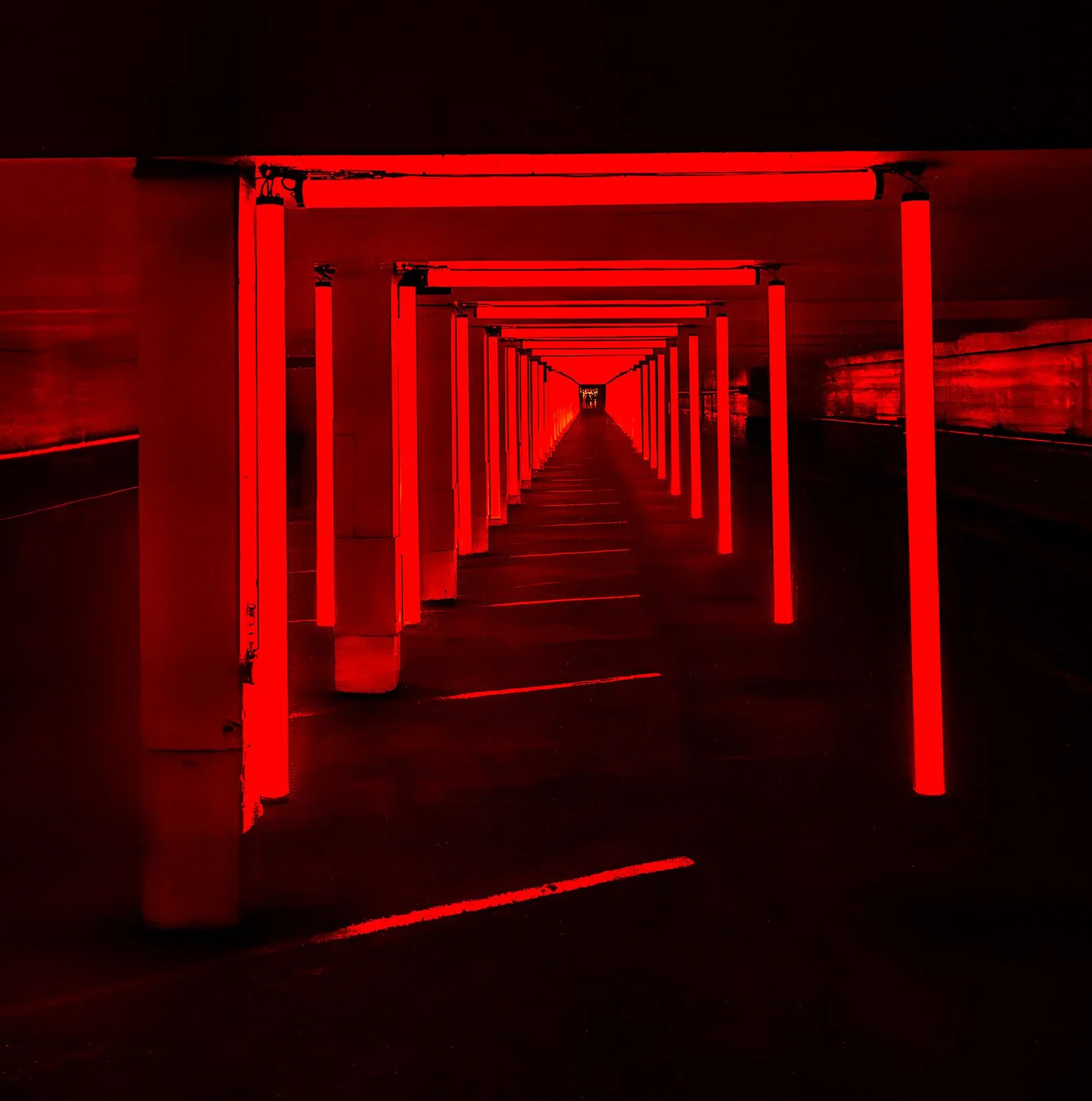 Vivid Night 5 - Dark Spectrum-342-Edit.jpeg