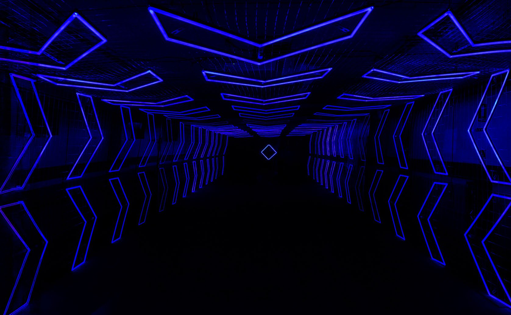 Vivid Night 5 - Dark Spectrum-135.jpeg