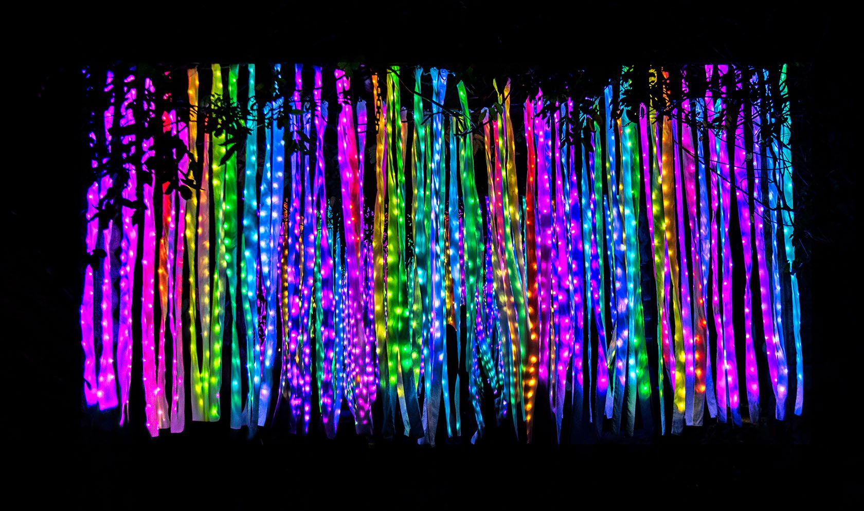 Vivid Night 6 - Botanic Gardens-65.jpeg