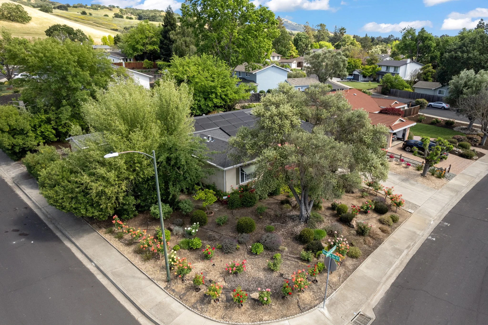 DJI_0276.jpg