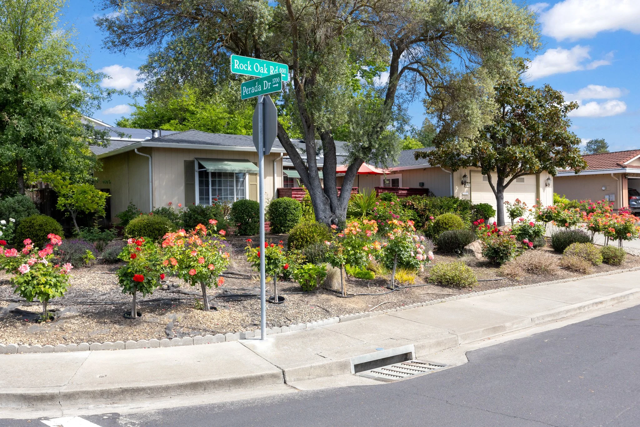 1N1A7126.jpg