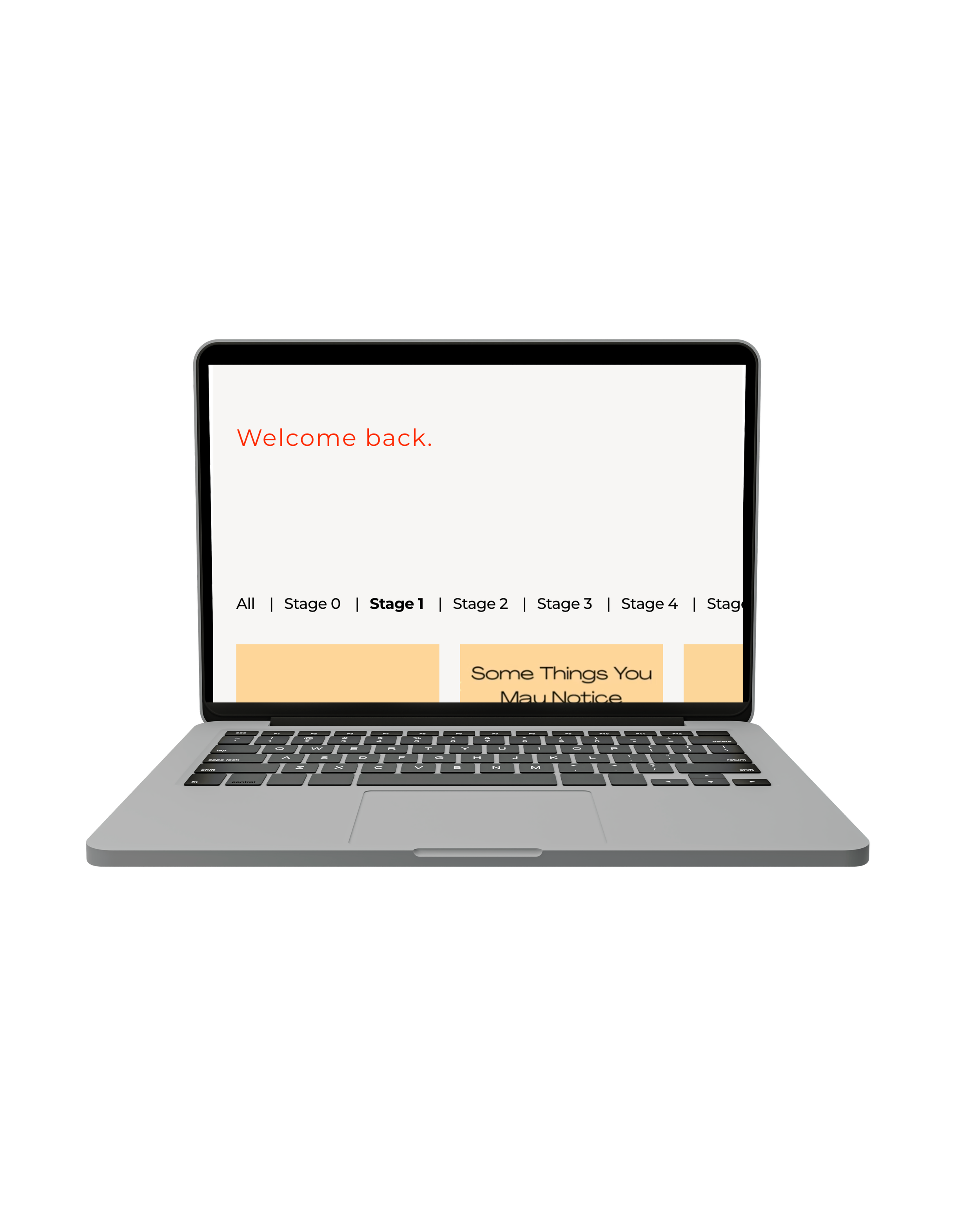 Laptop screen displaying The Idiosyncratic Program for complex chronic conditions.
