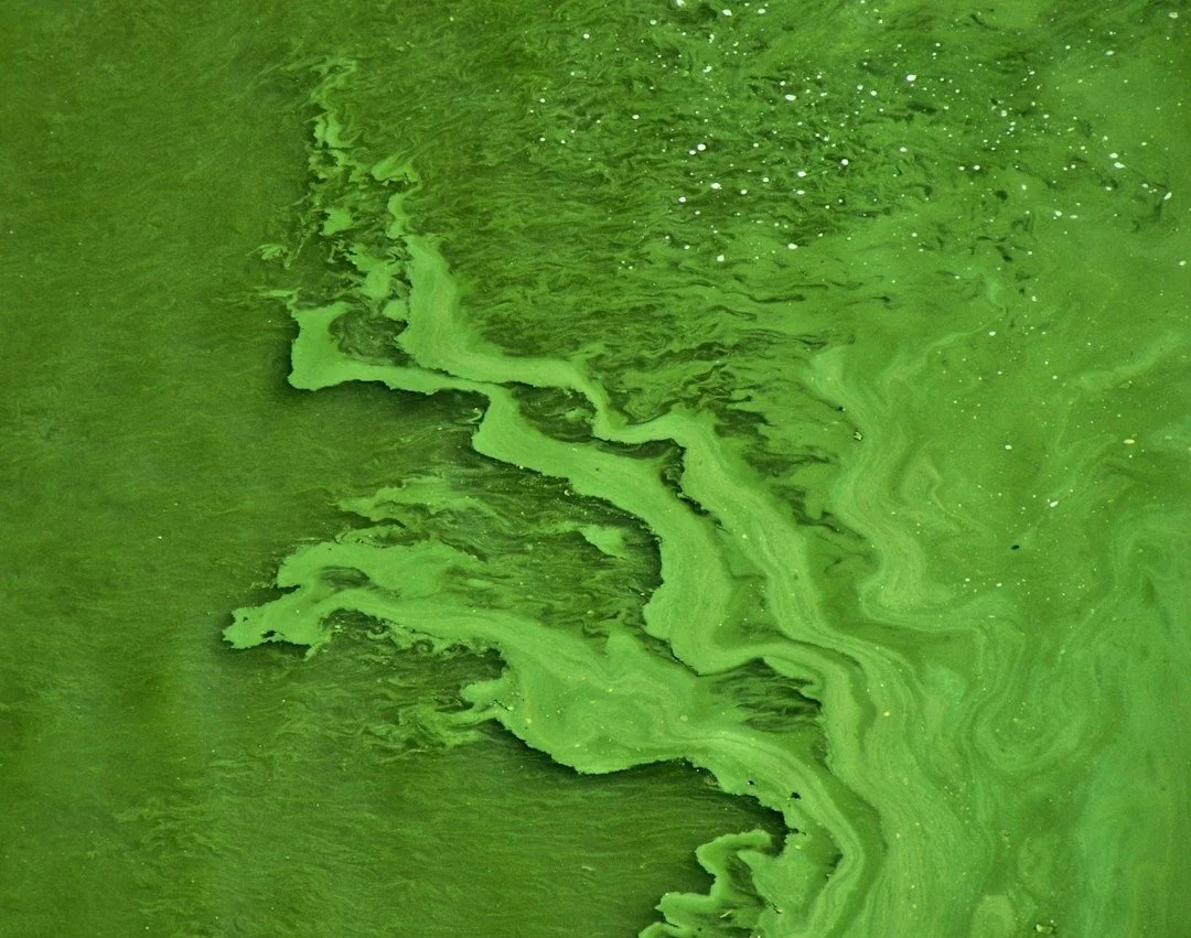 7 Flights In 3 Weeks - Which 3 Supplements &amp; Tools Would I Pack Again?