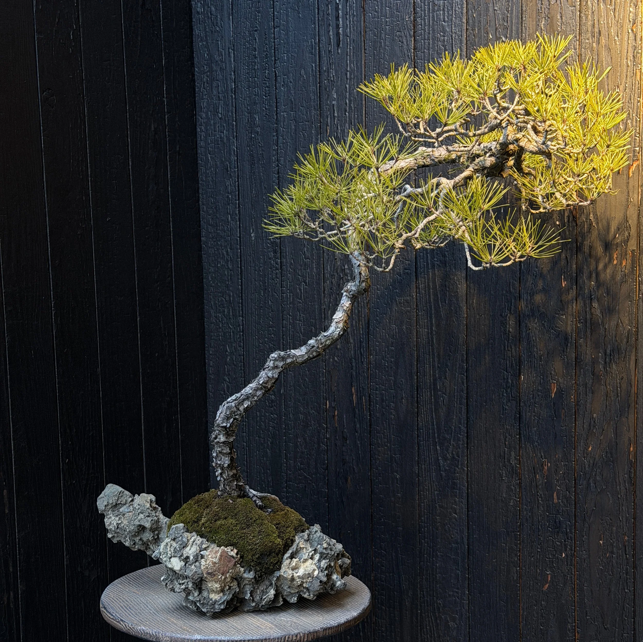 "Attacking" vs Rediscovering Yourself