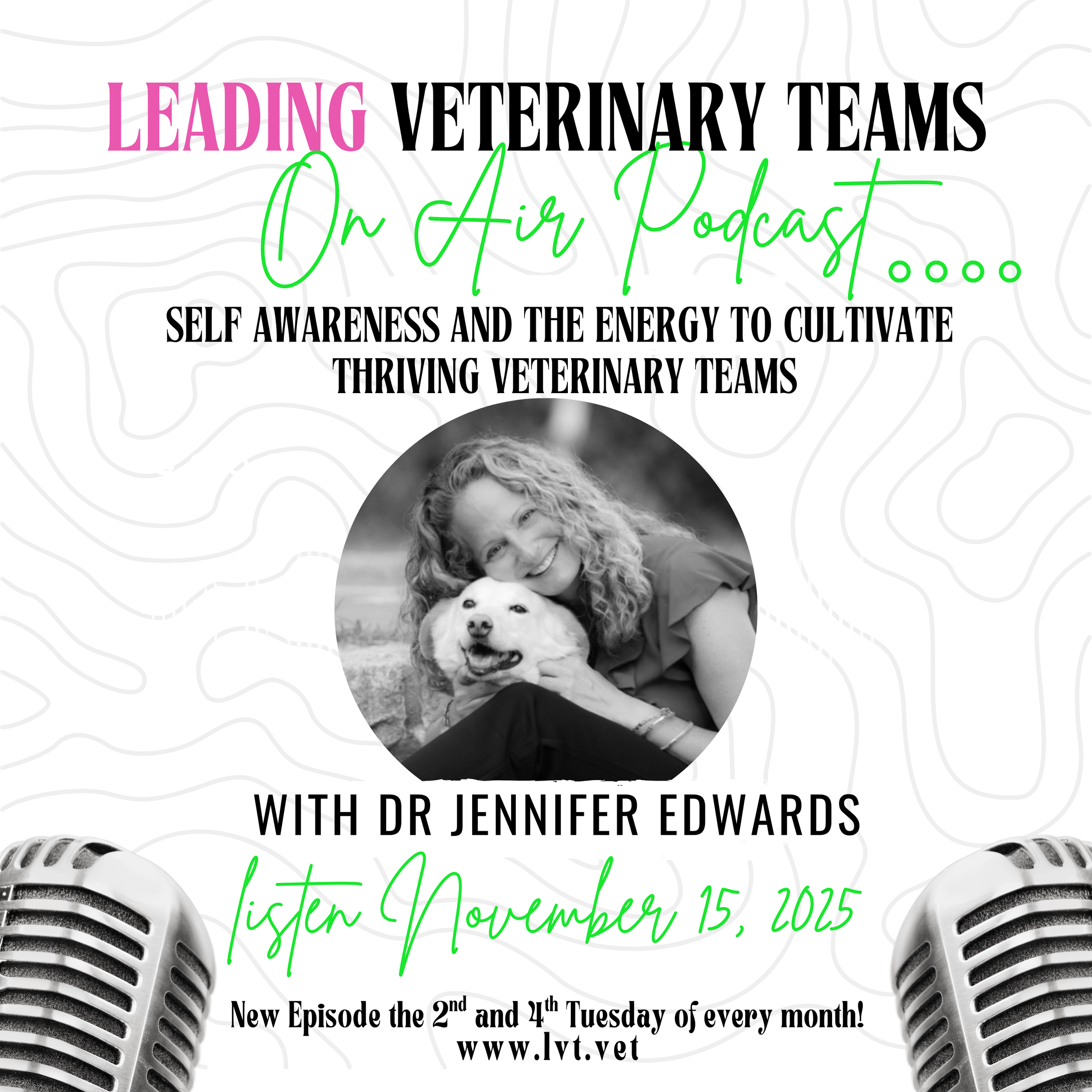 Self awareness and the energy to cultivate thriving veterinary teams