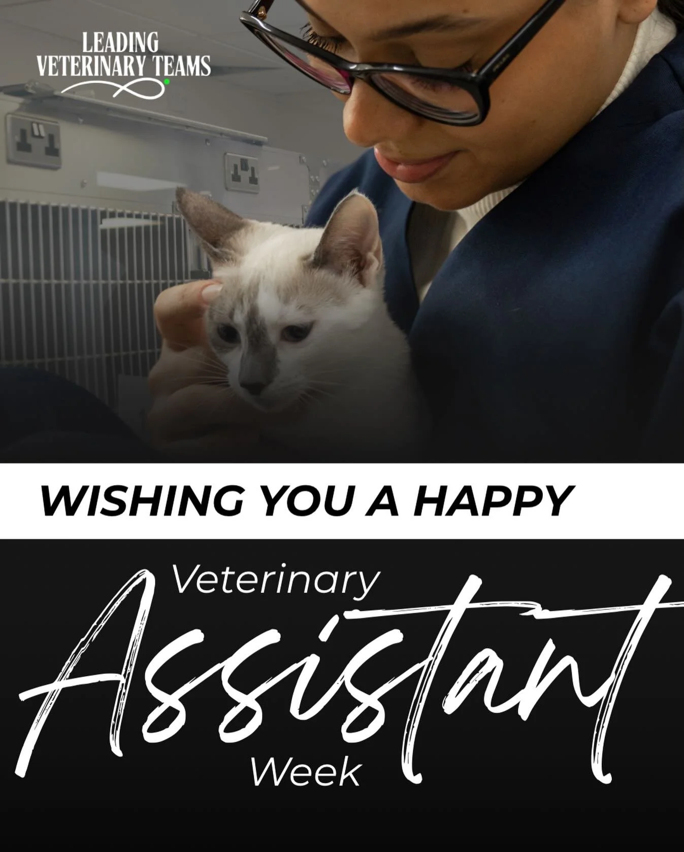 Veterinary Assistants are the ones turning over rooms while answering phones because someone else got tied up in treatment. They&rsquo;re helping restrain a nervous patient, cleaning up after emergencies, stocking supplies, running labs, comforting c