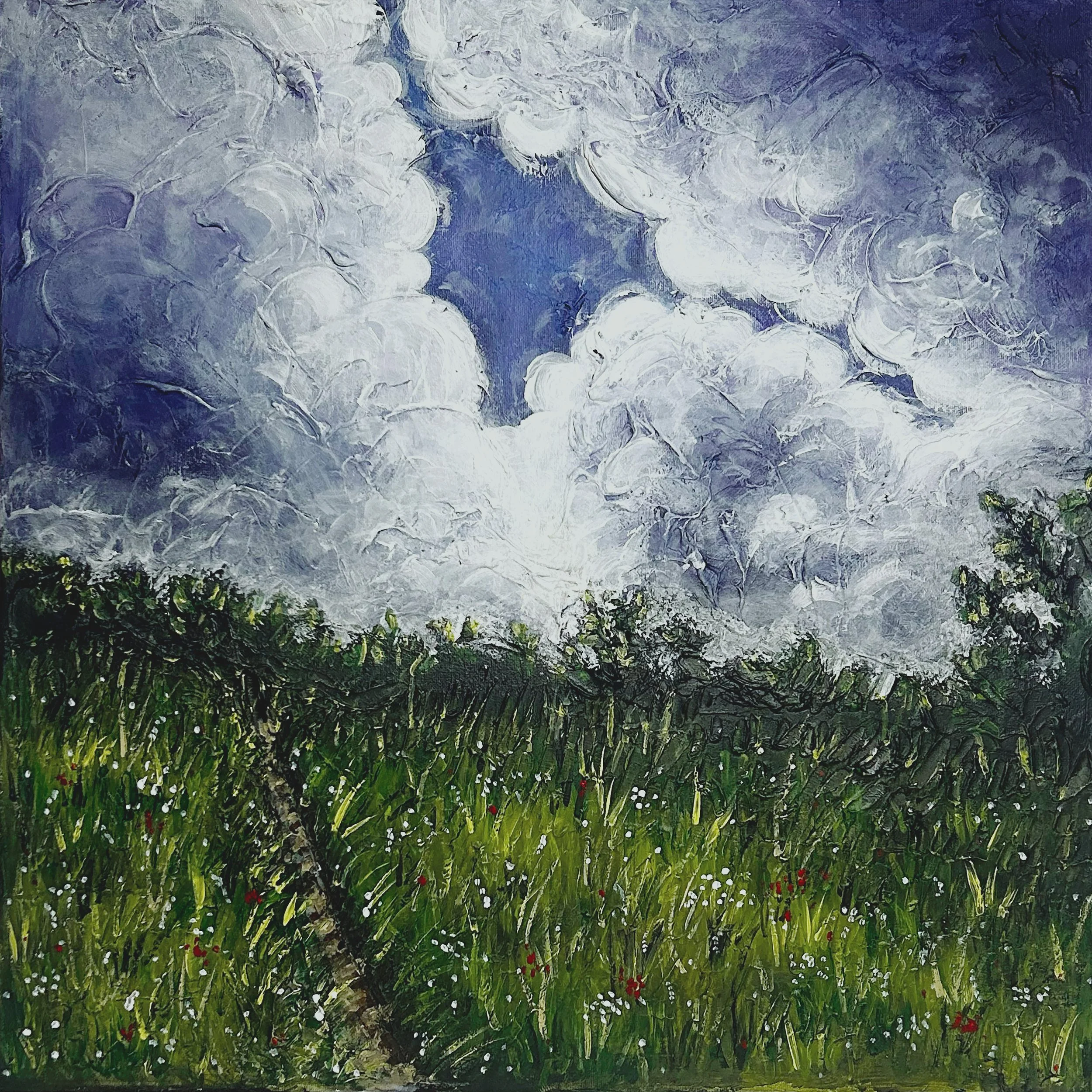 Path to Villa Bramasole