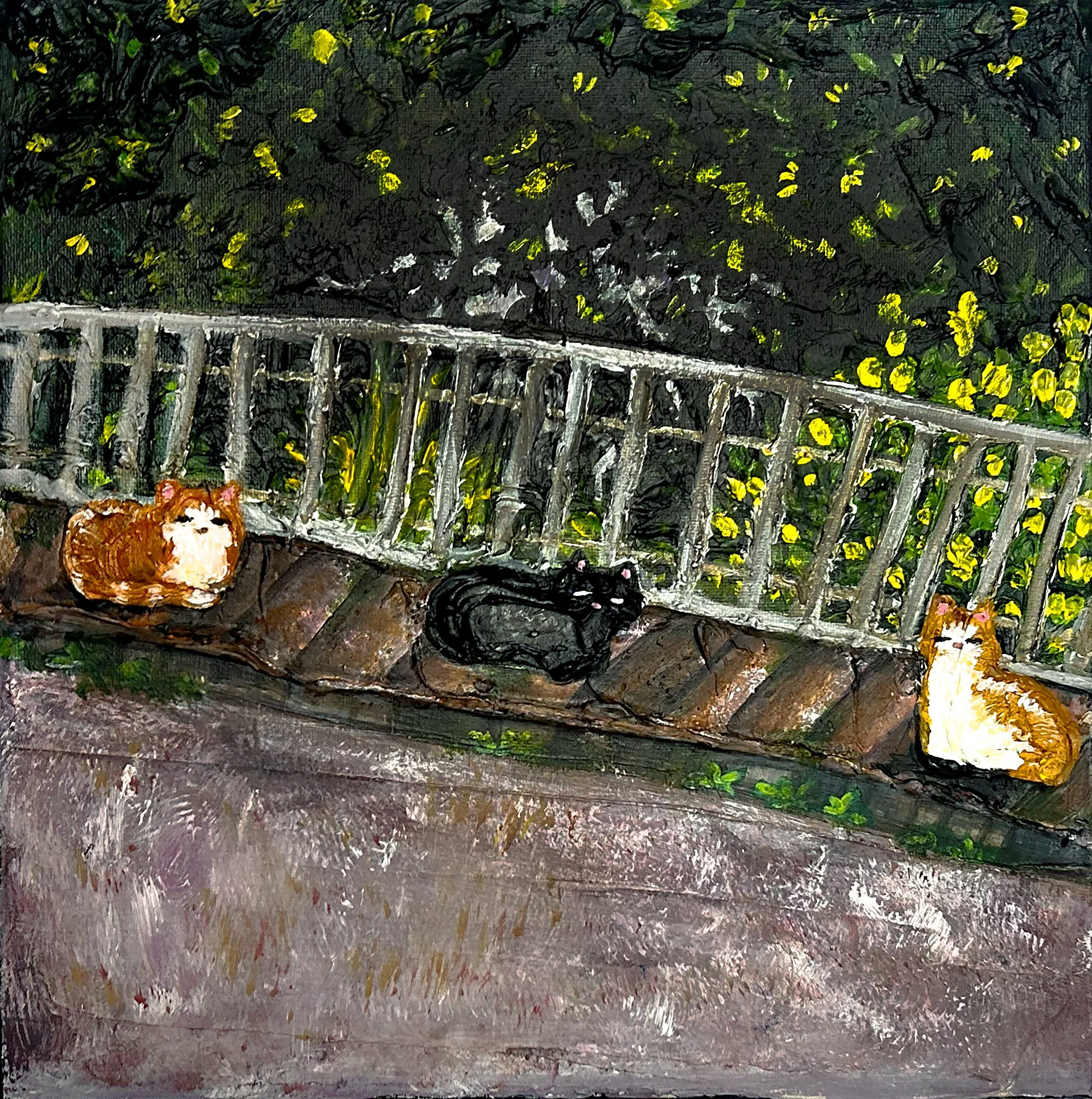 Cats of Cortona