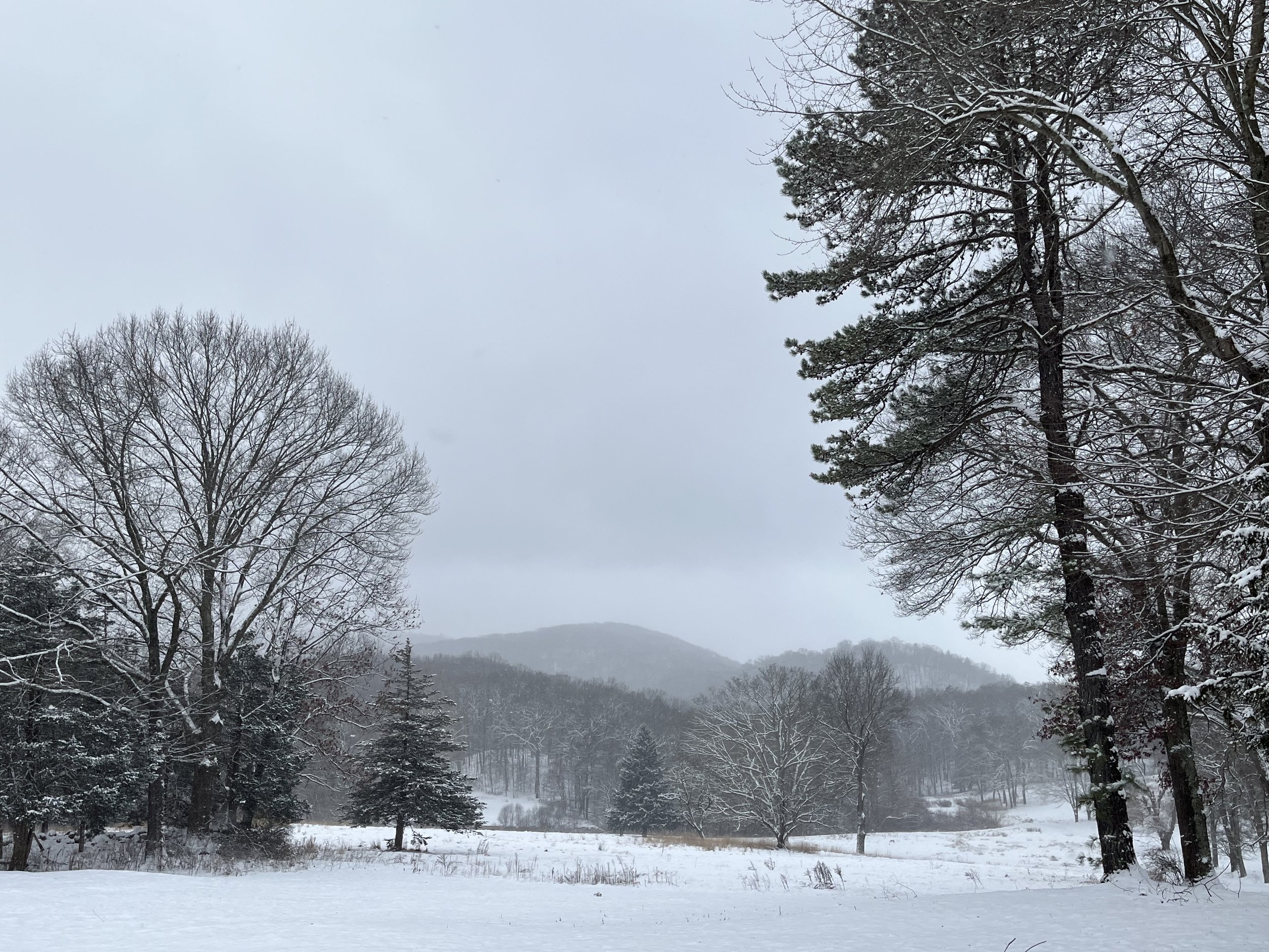 Golf Course