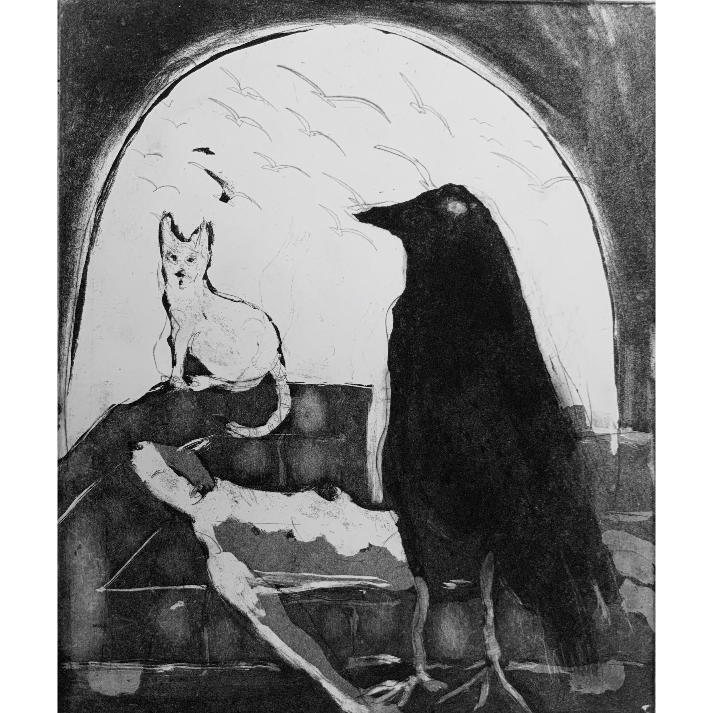 blackbird.jpeg