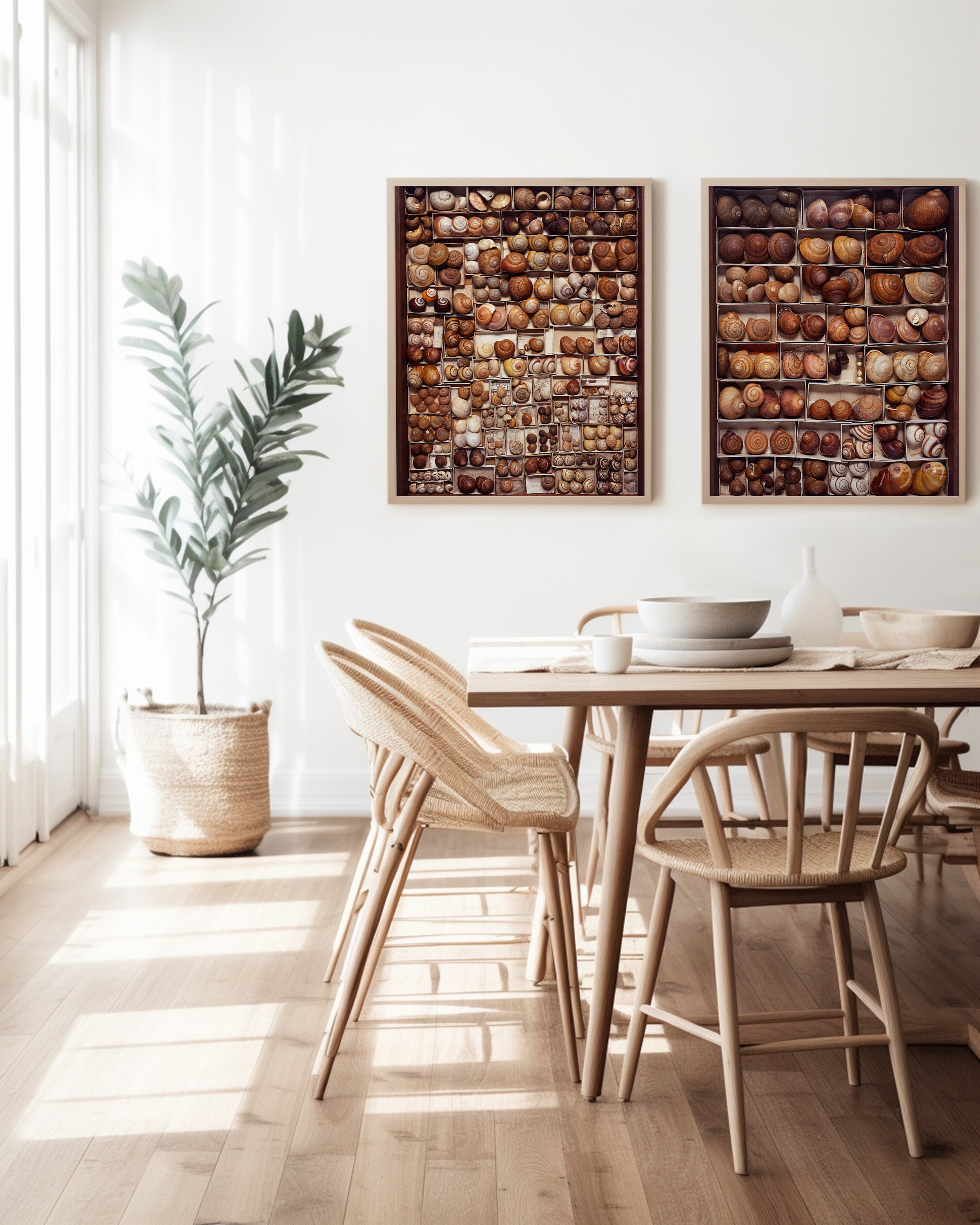 coastal-dining-2-frames-4x5.JPG