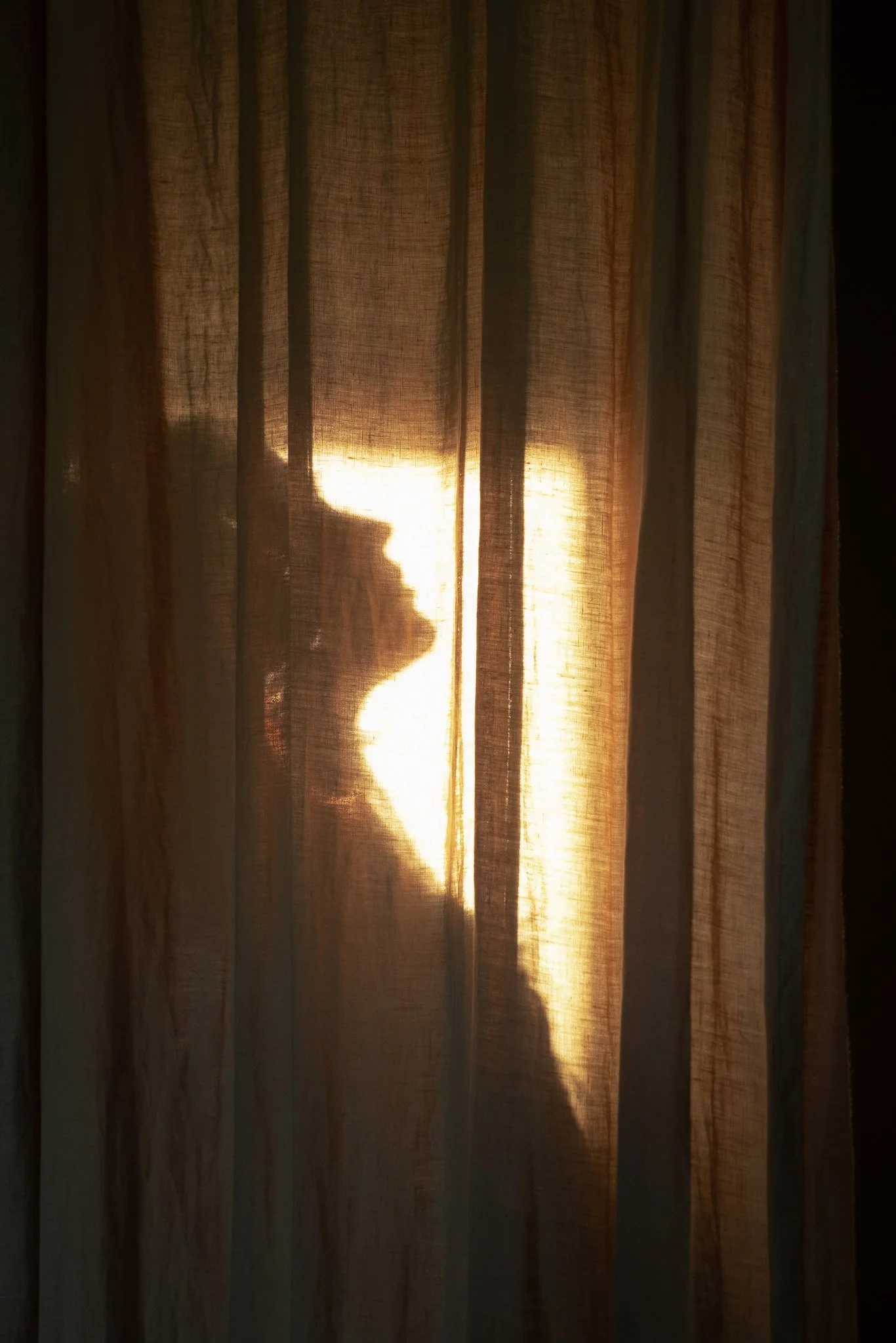 Woman through a curtain, sunset silhouette 