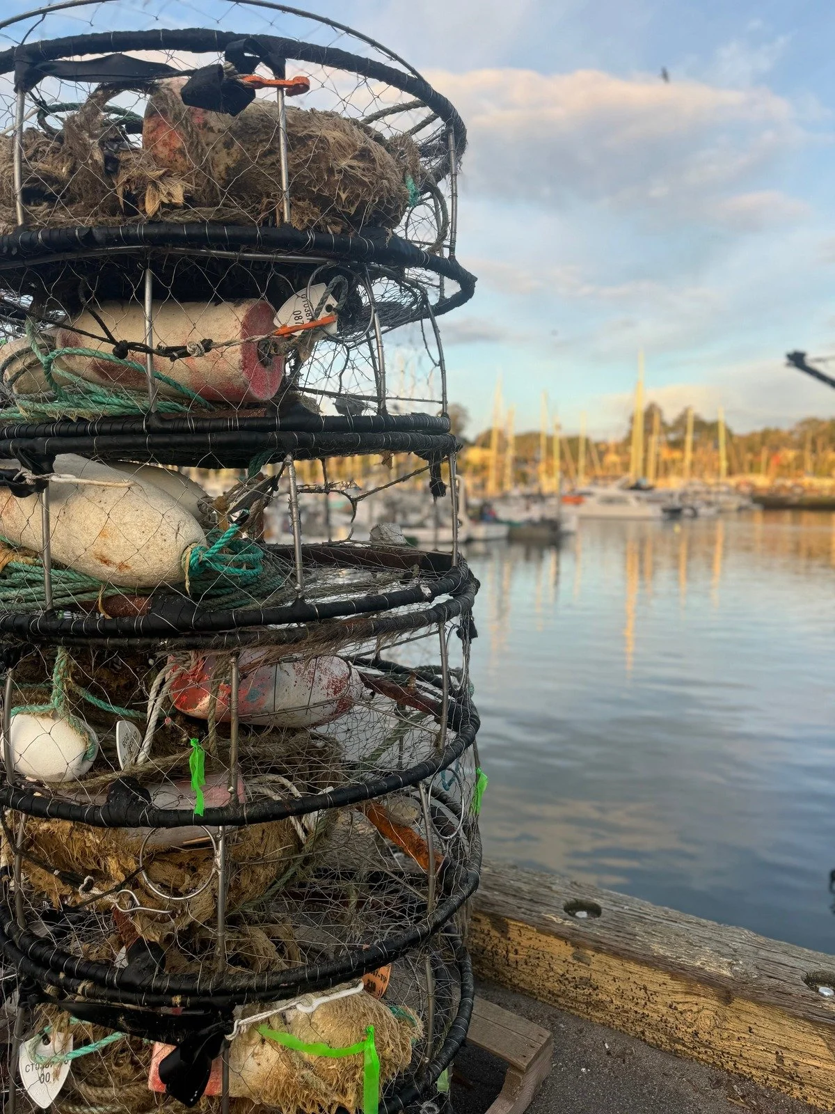 A stack of crab traps filled with bait, with a marina filled with boats and masts in the background at sunset.