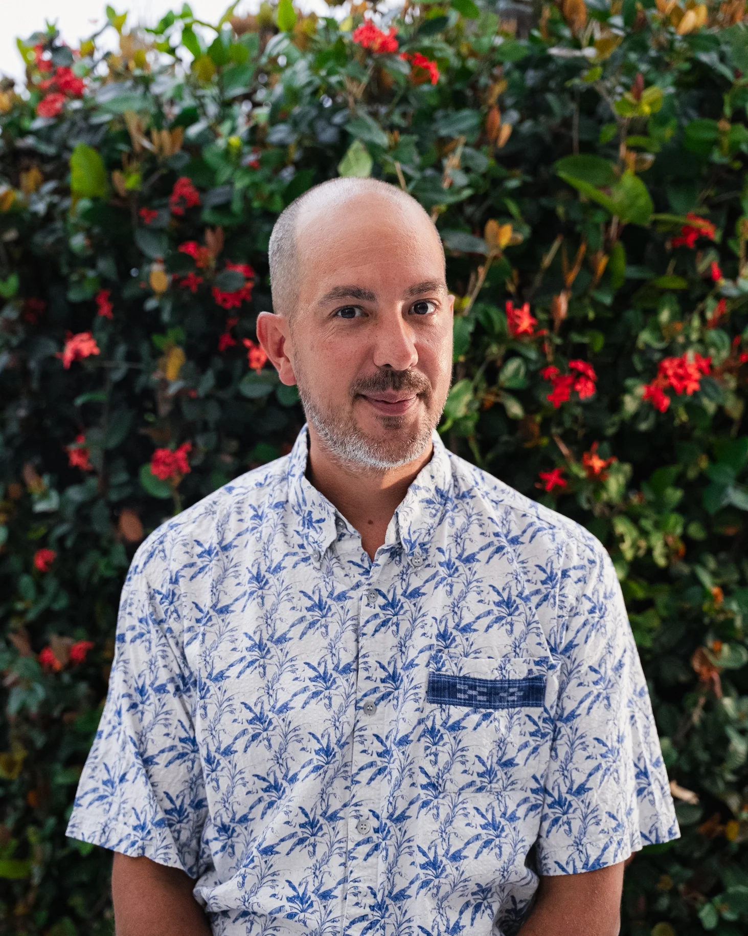 Jordy - The Lost Frenchie