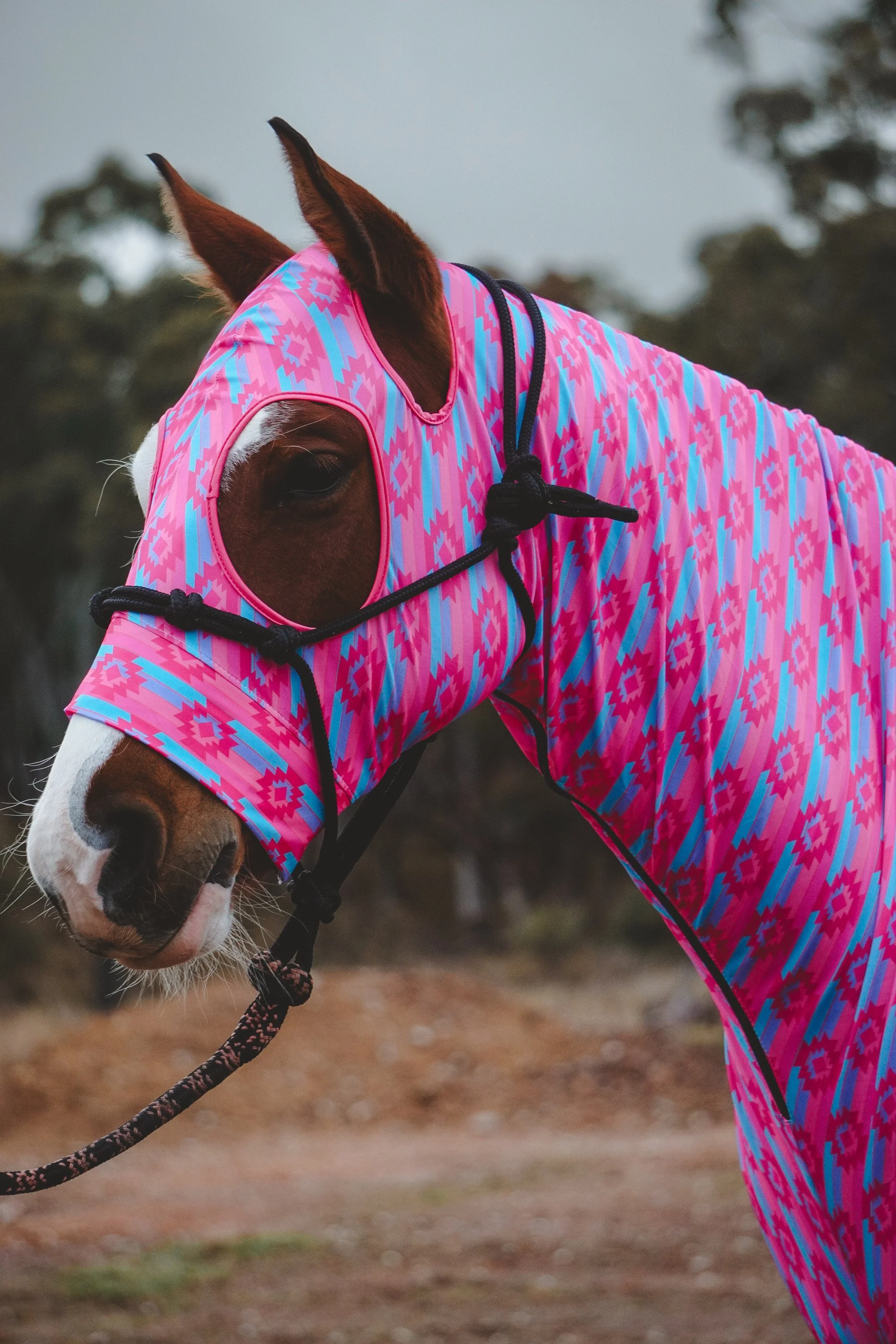 Pink Hippie Hood.JPG