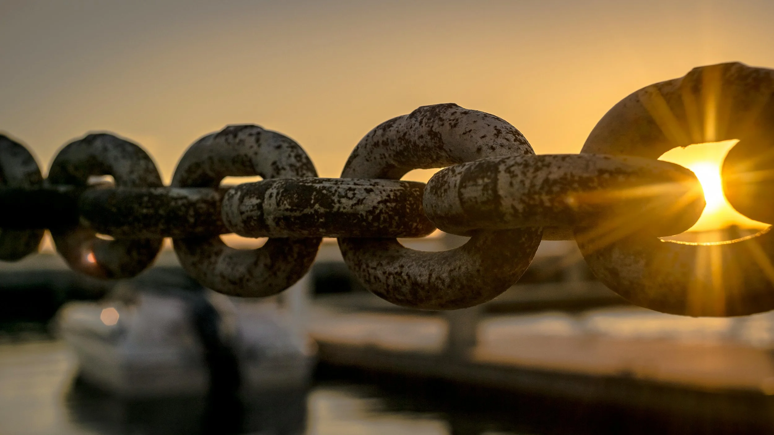How to Build a Resilient Supply Chain in Uncertain Times