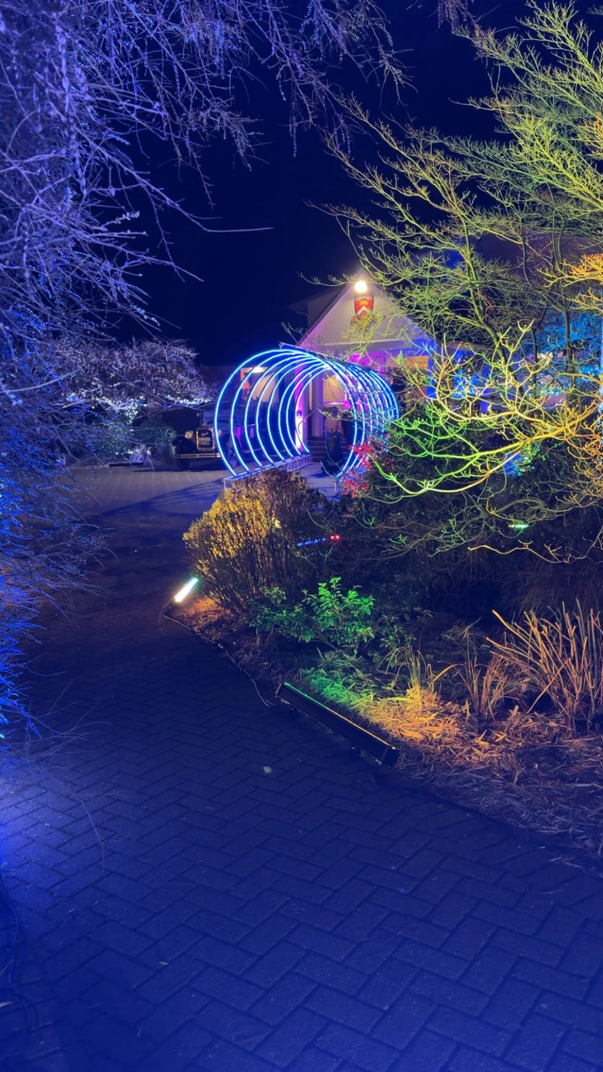 Outdoor lighting of garden area