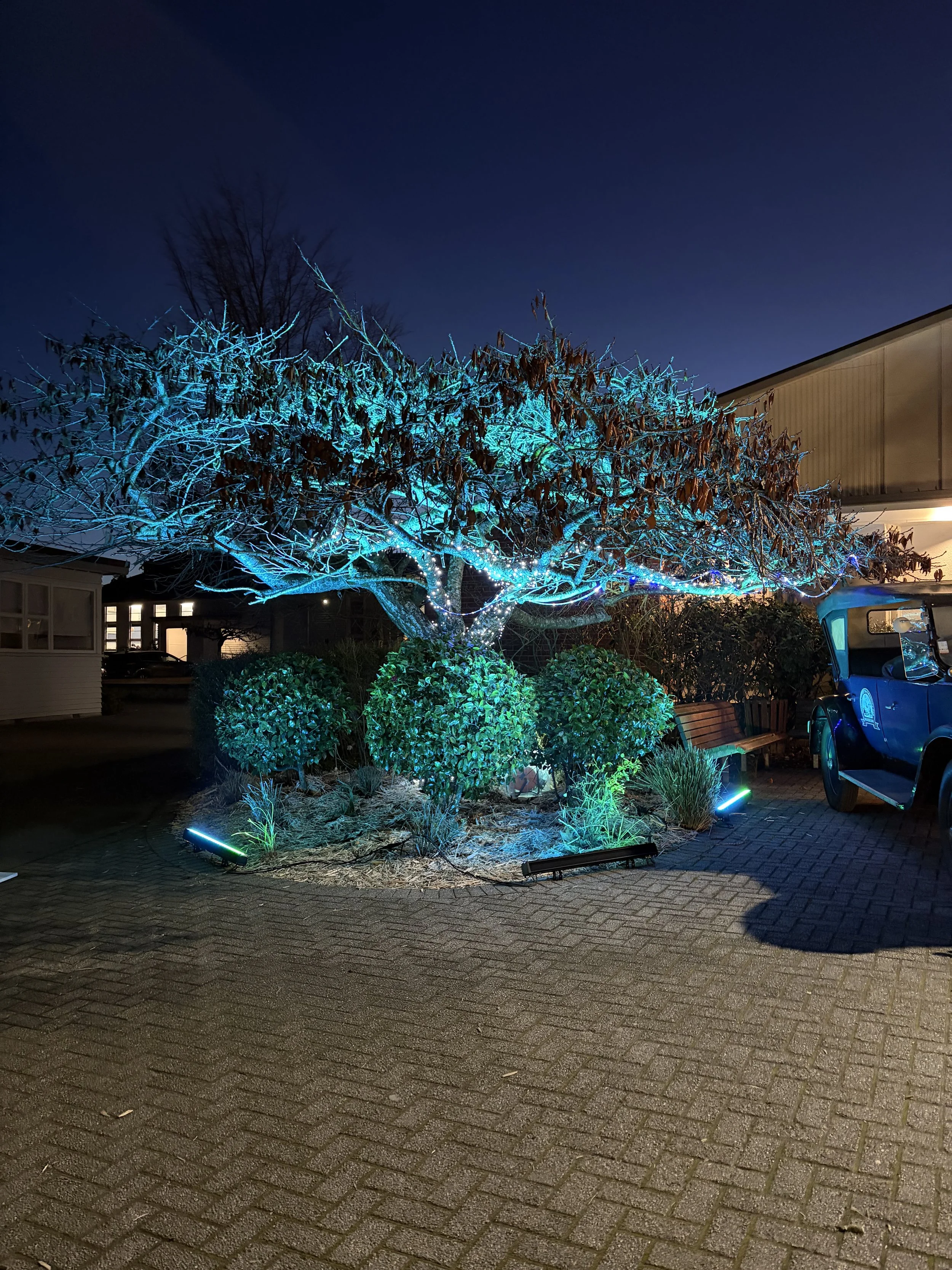 Outdoor lighting 