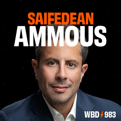 Saifedean Ammous — What Bitcoin Did episode artwork