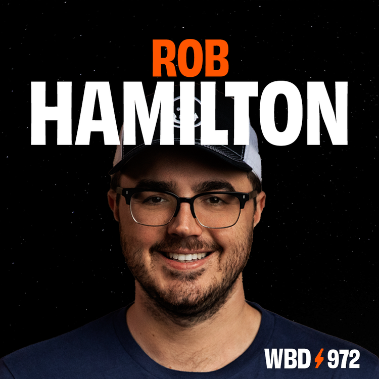 Rob Hamilton — What Bitcoin Did
