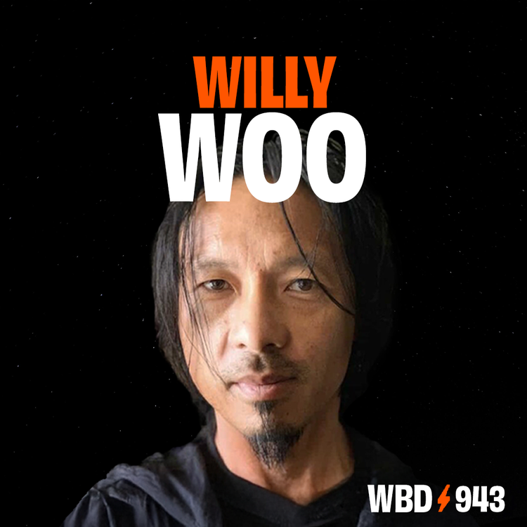 Willy Woo — What Bitcoin Did