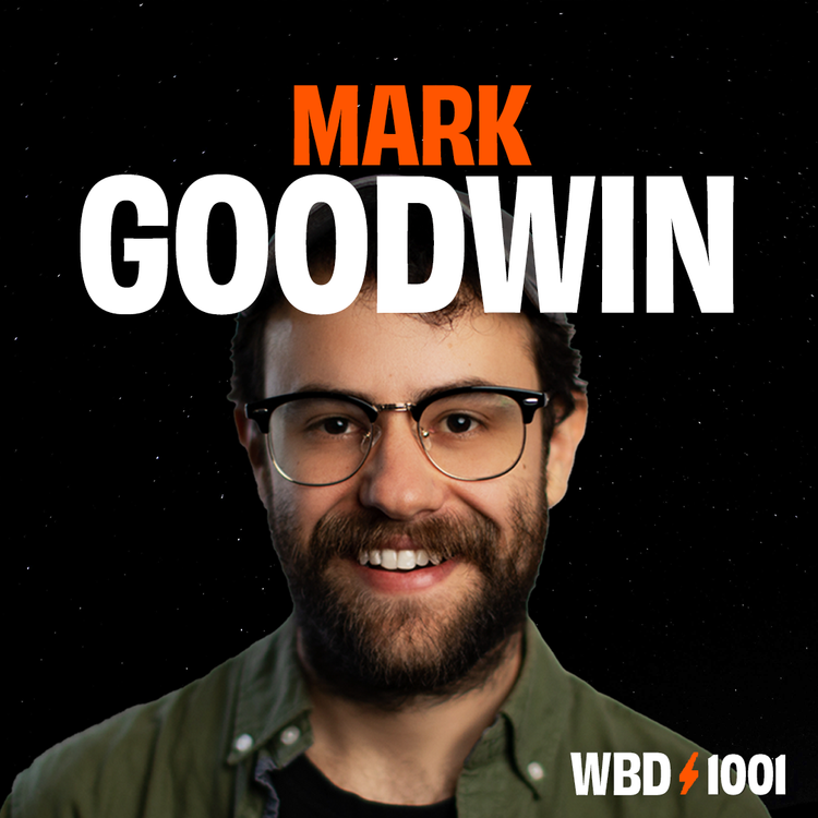 Mark Goodwin — What Bitcoin Did