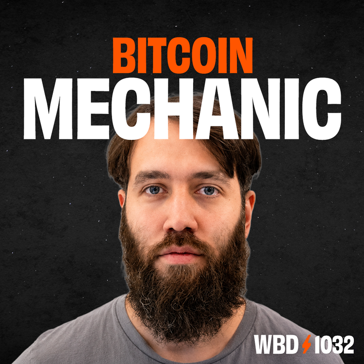 Bitcoin Mechanic — What Bitcoin Did