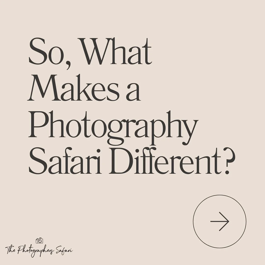 Our photo safaris aren&rsquo;t just curated to show you wildlife, we help you capture it with everything from special photography vehicles and a local photography host. 

No rushing from sighting to sighting, just the best light, patience, and creati